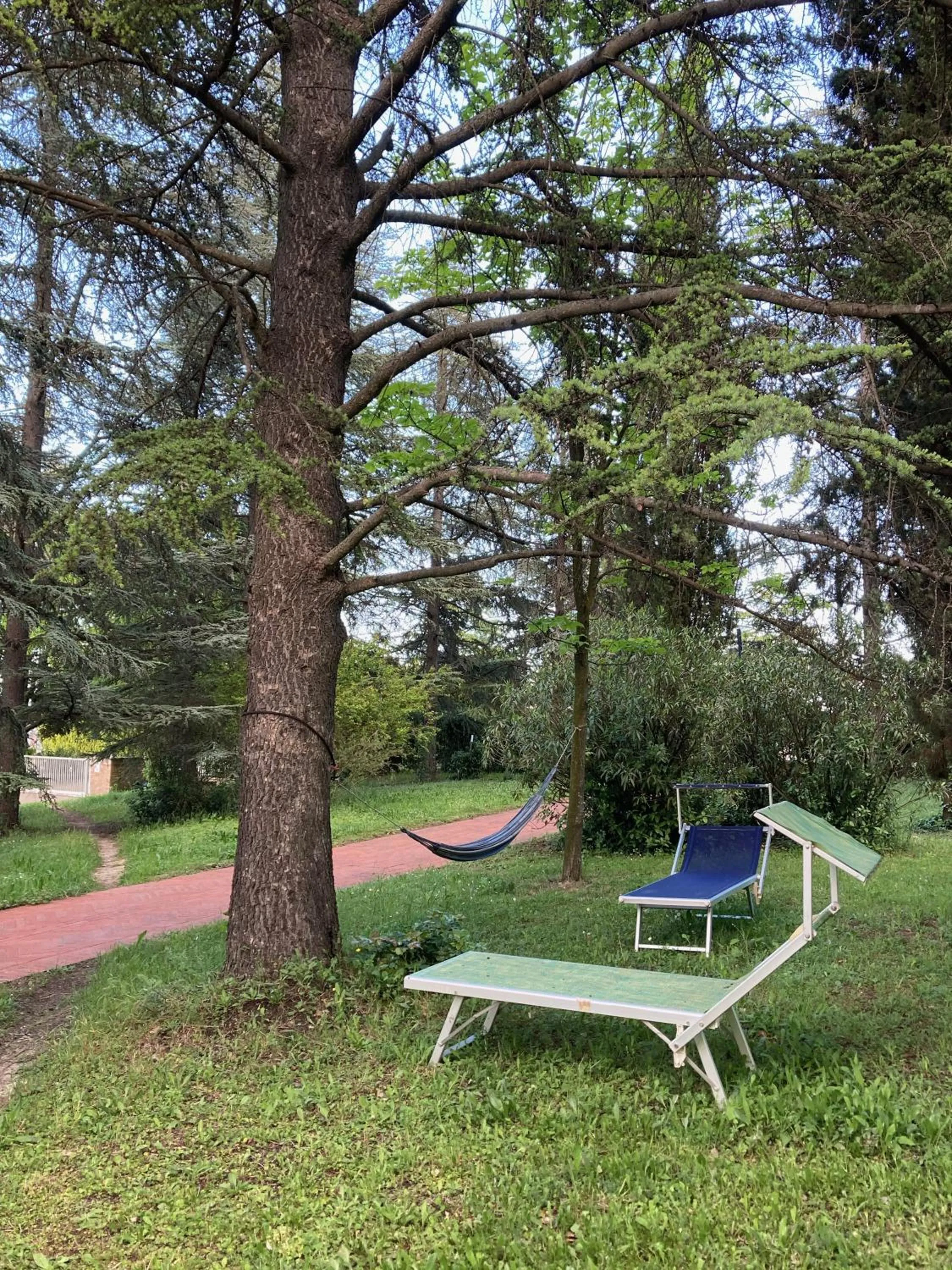 sunbed in B&B Mama Rò