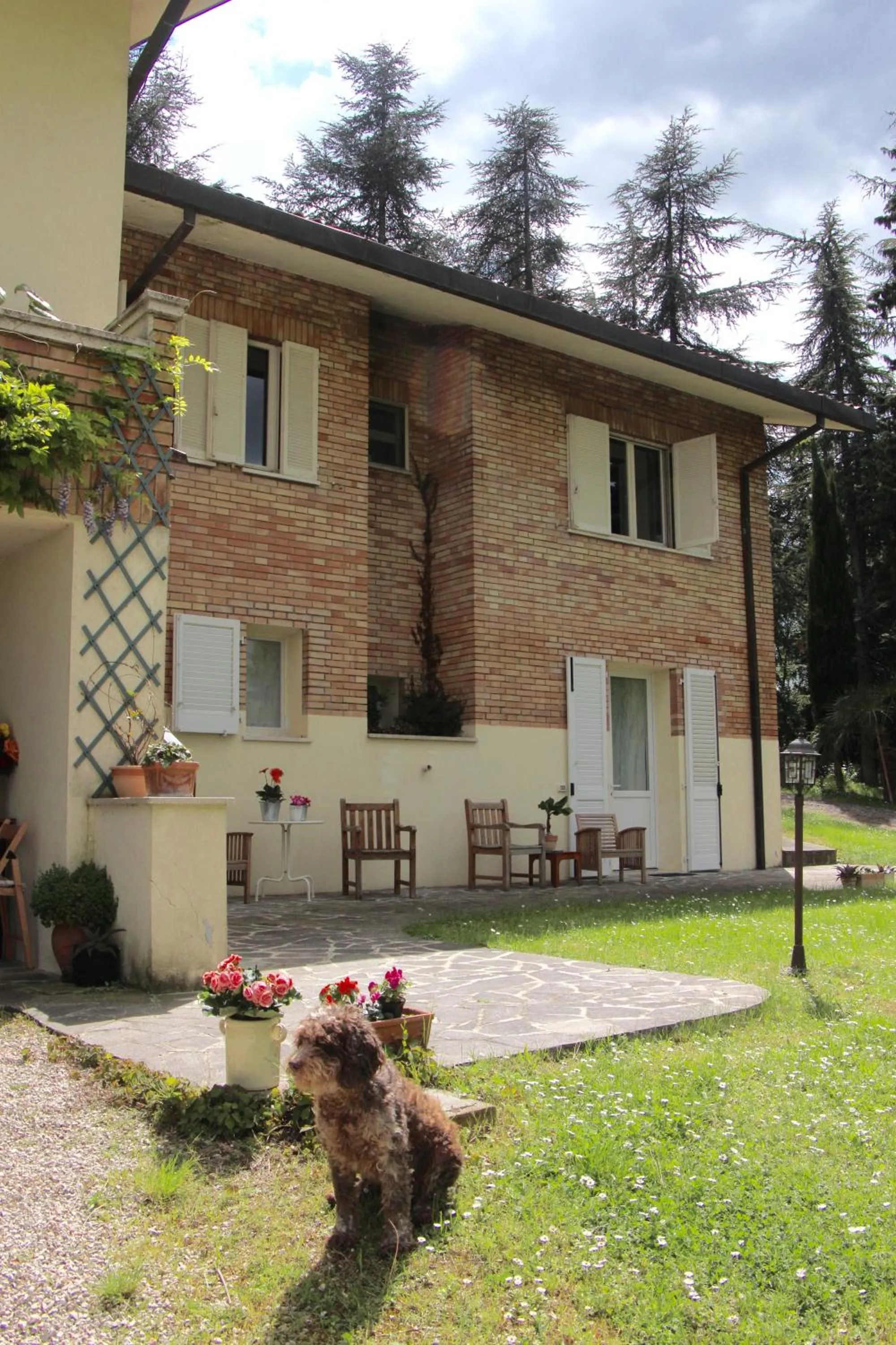 Pets in B&B Mama Rò