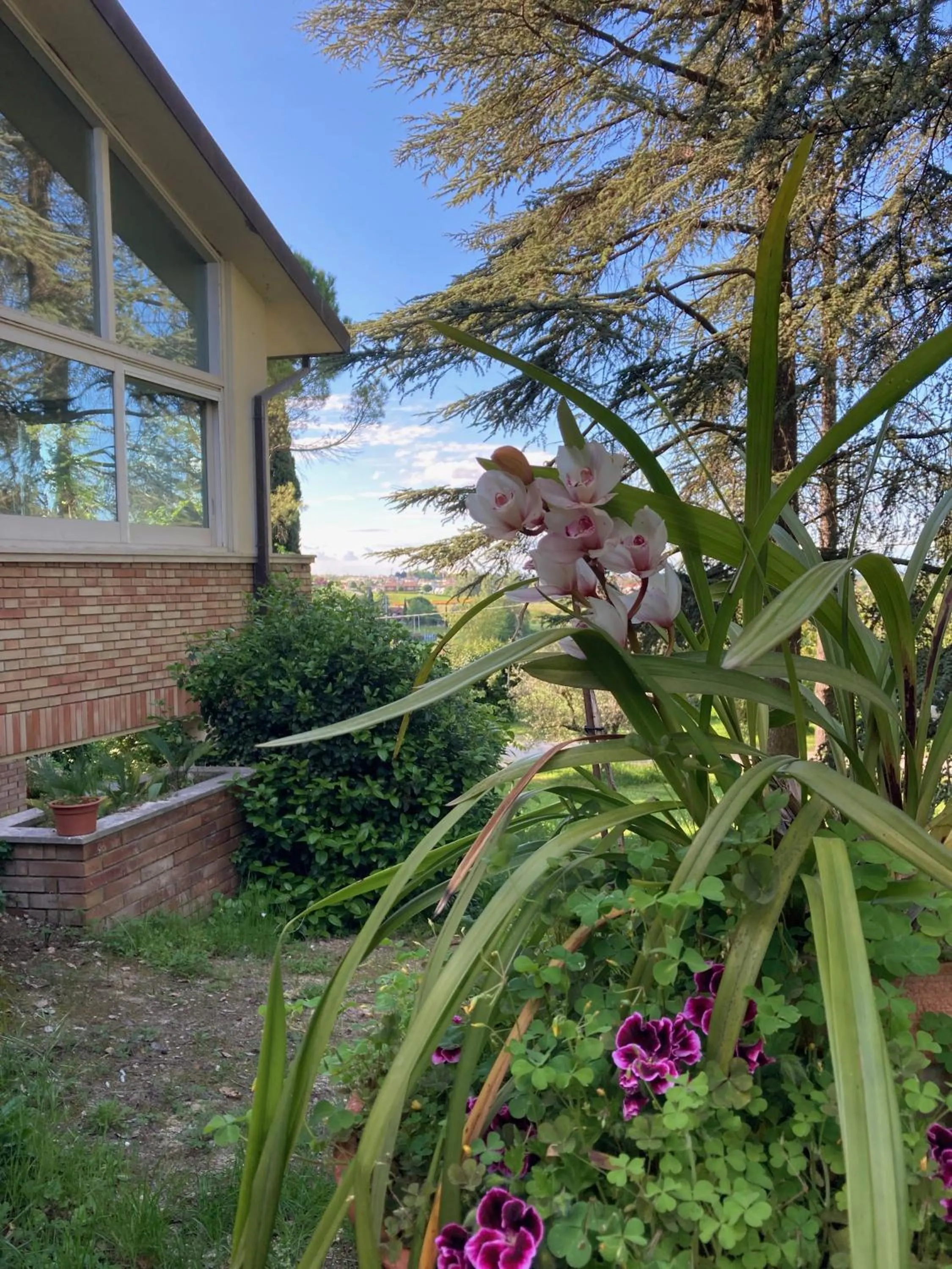 Garden in B&B Mama Rò