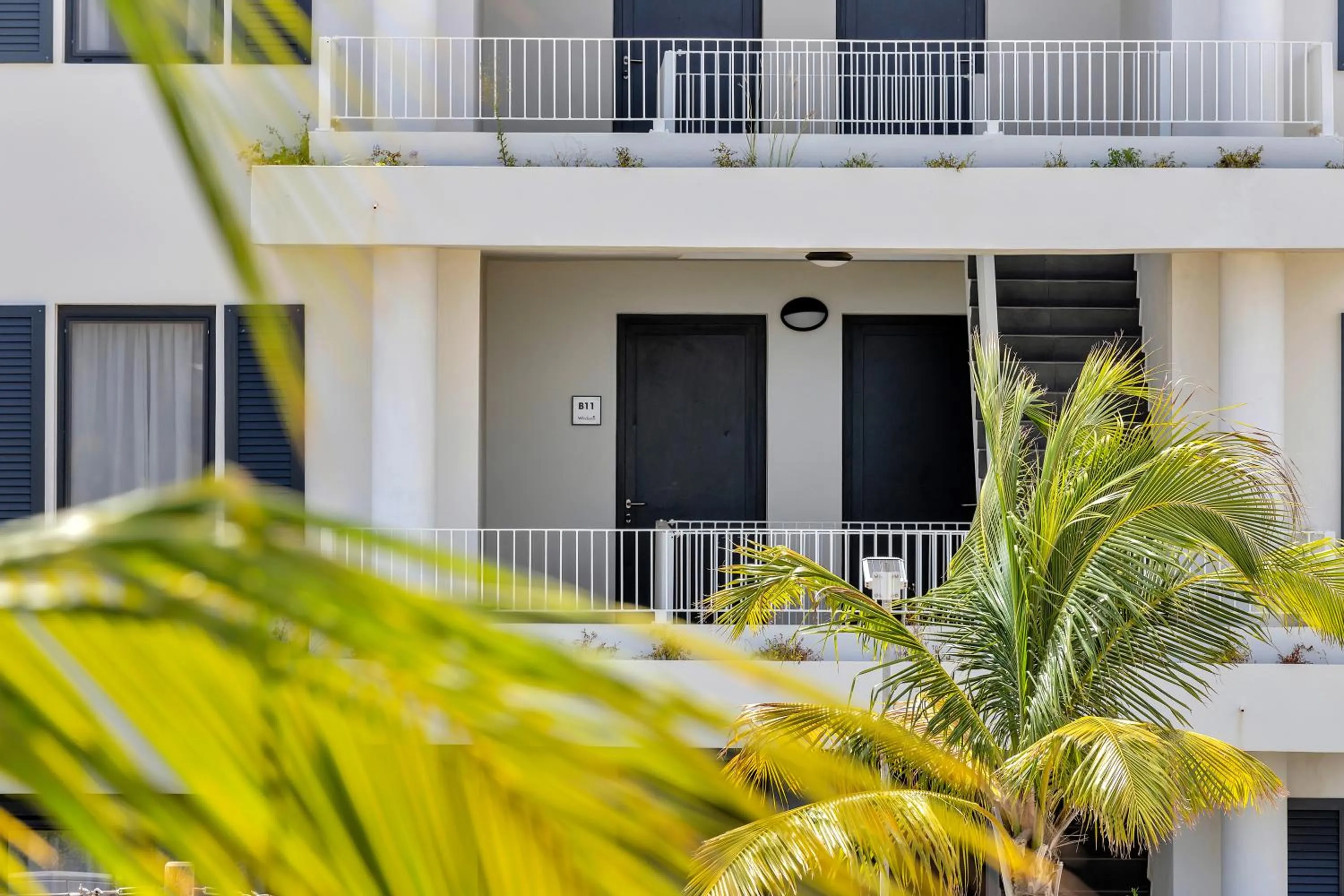 Grand Windsock Bonaire