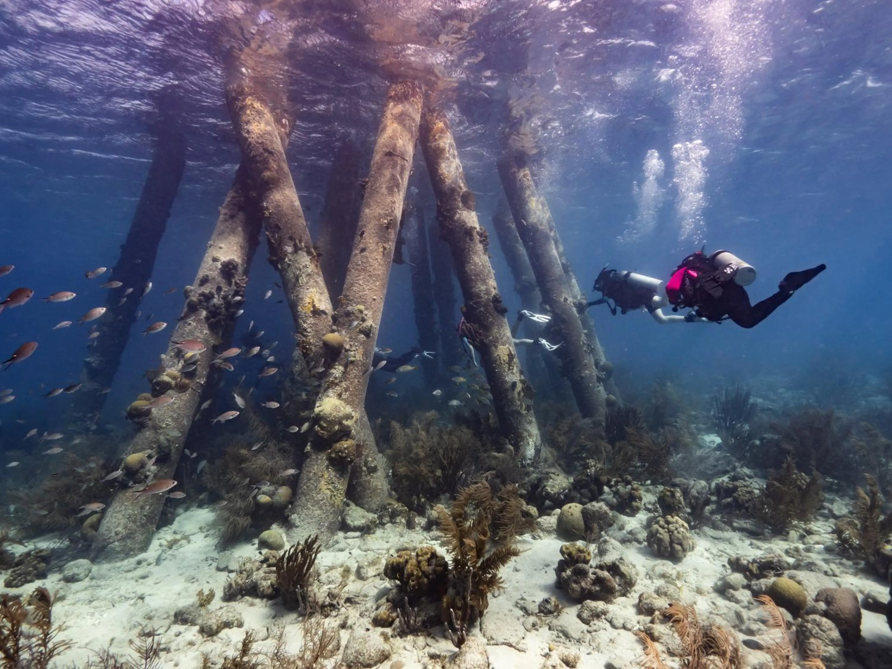 Grand Windsock Bonaire