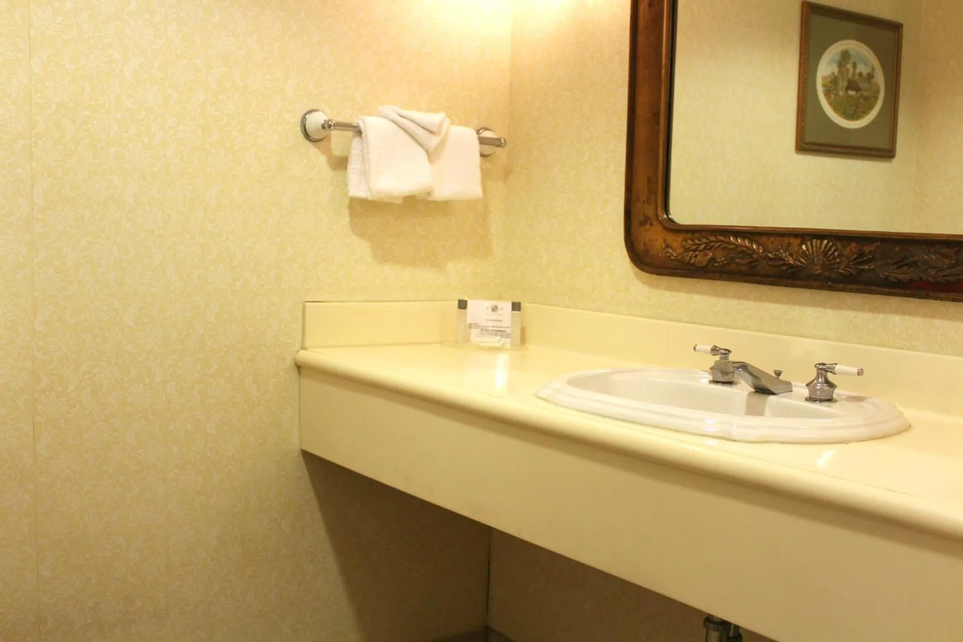 Bathroom in Monumental Hotel Orlando