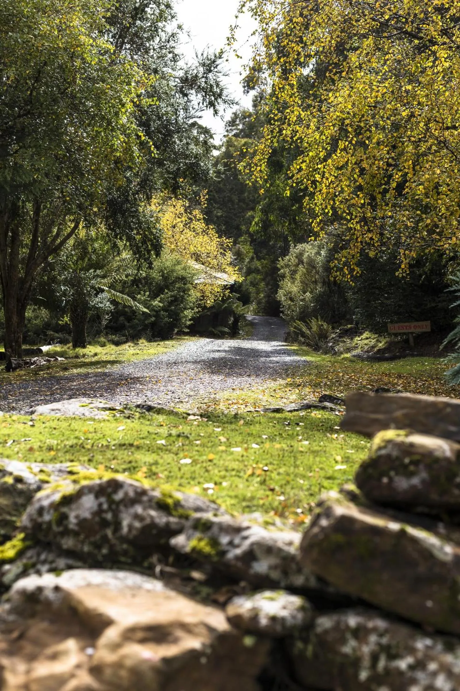 Garden view in Cradle forest inn