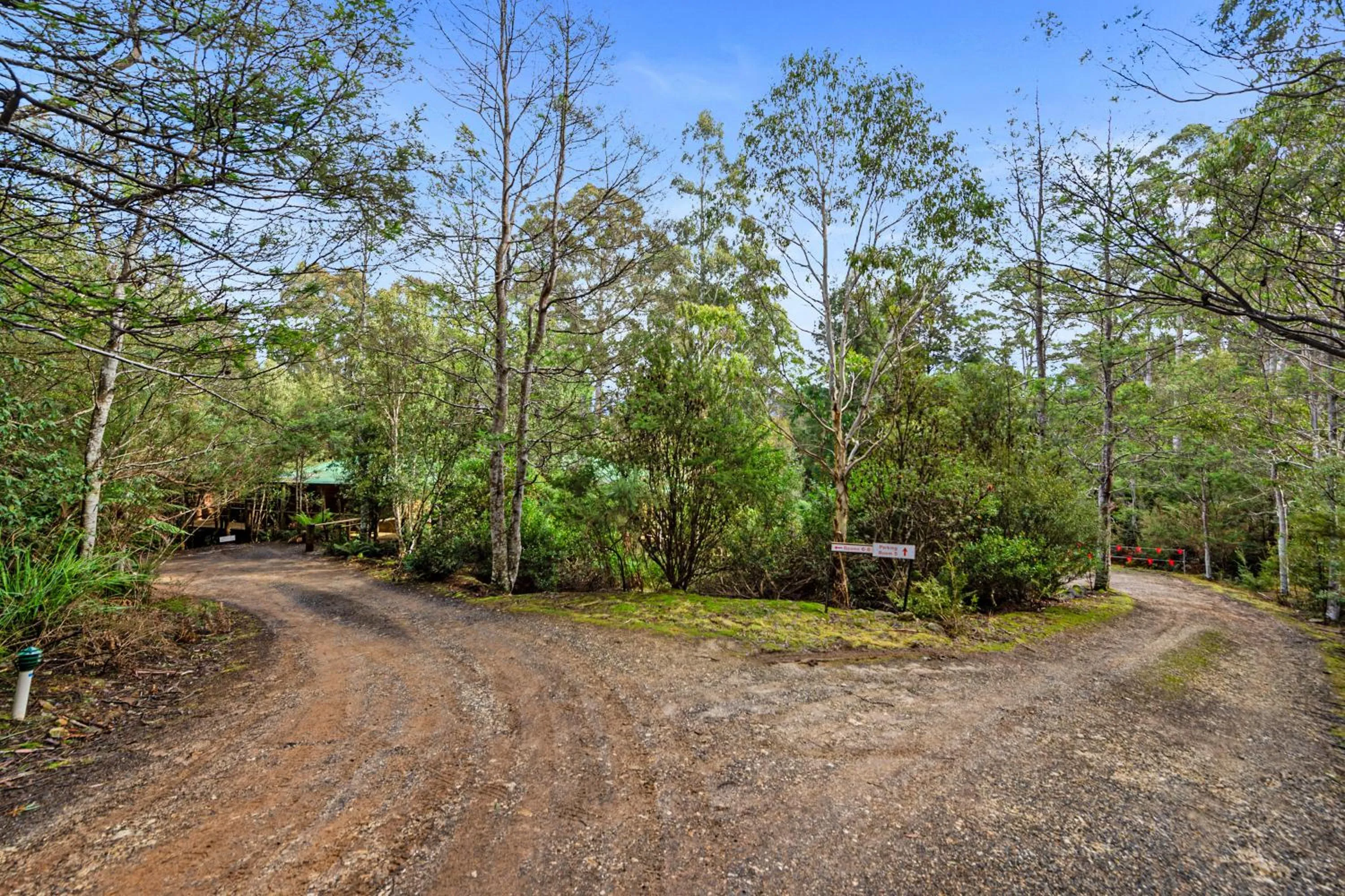 Property building in Cradle forest inn