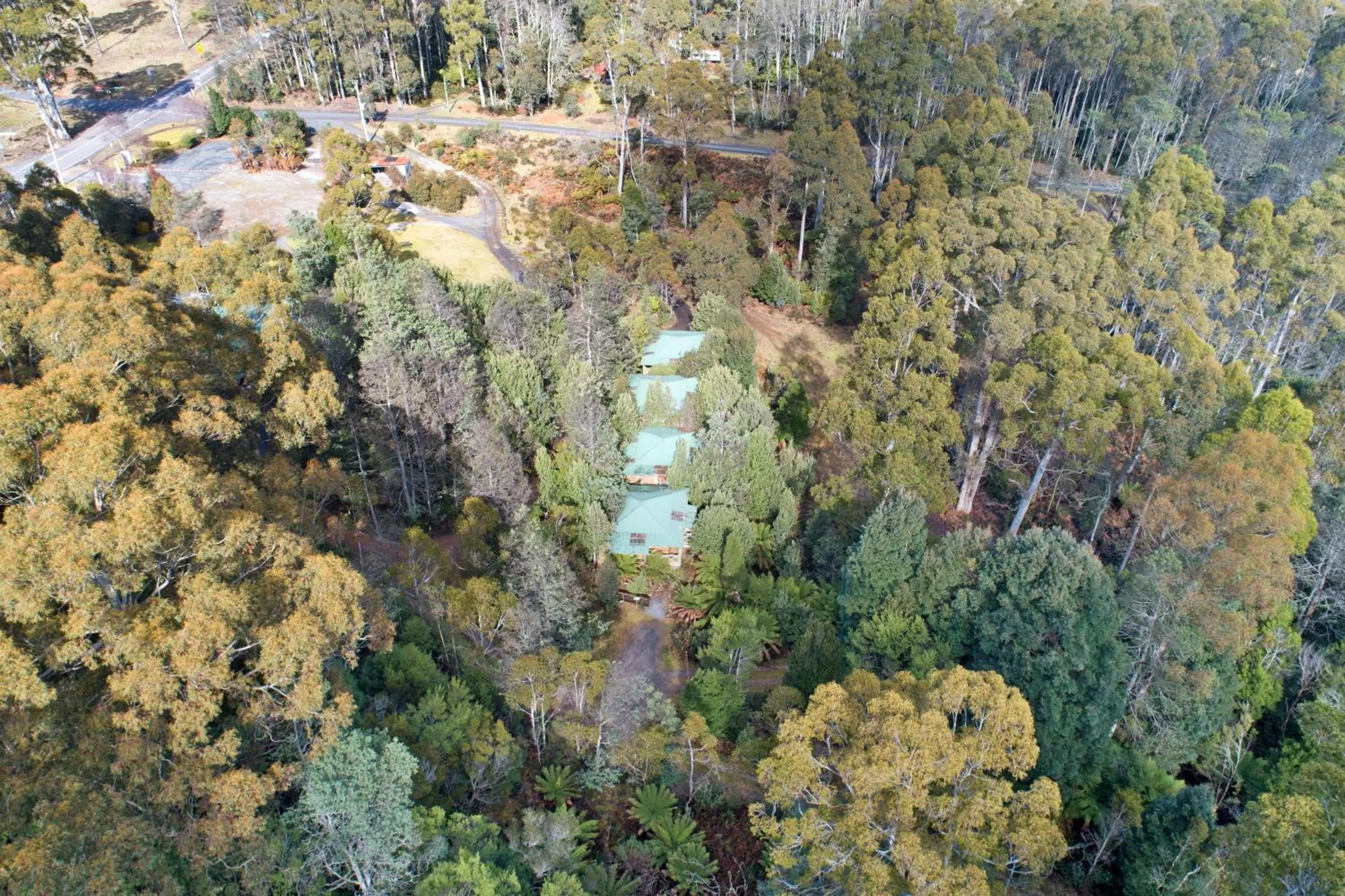 Property building in Cradle forest inn
