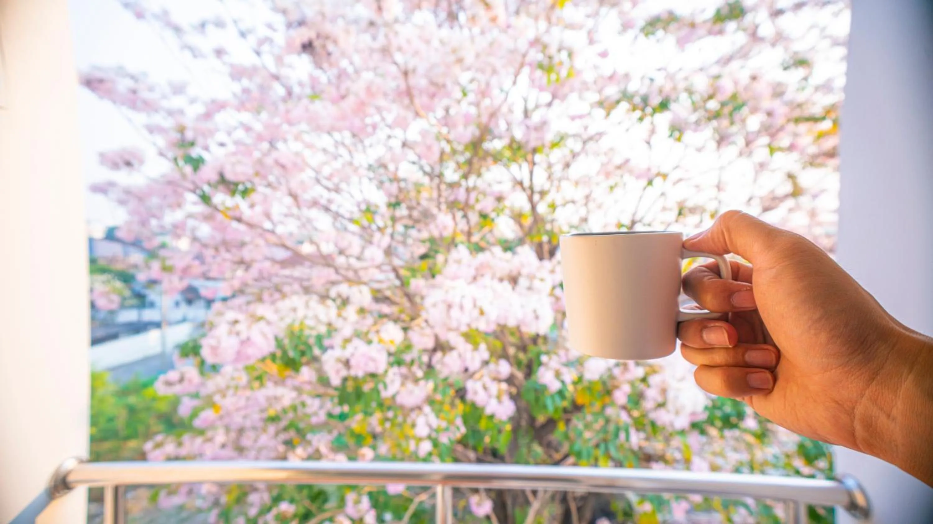 Balcony/Terrace in The Willing Hotel and Residence