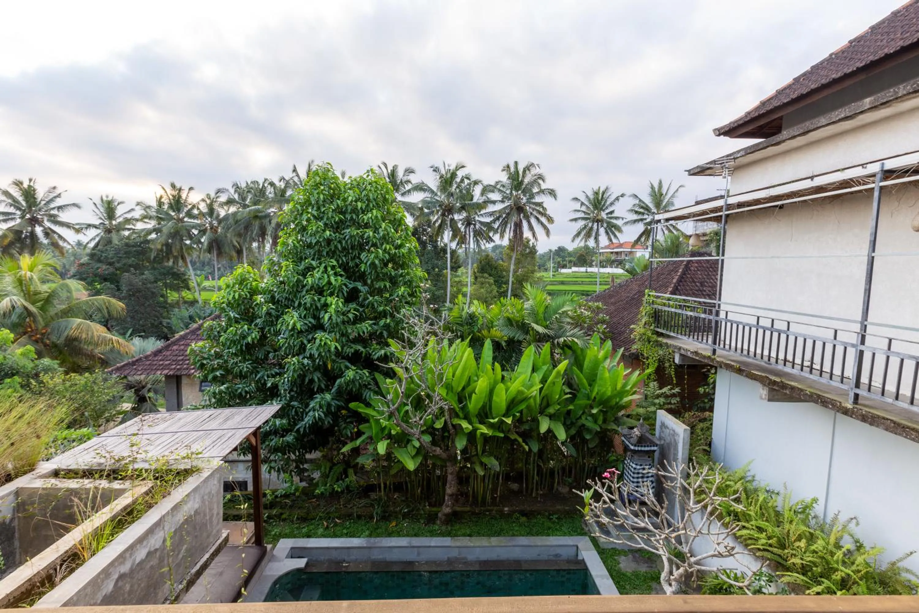 Natural landscape in Bije Boutique & Gallery