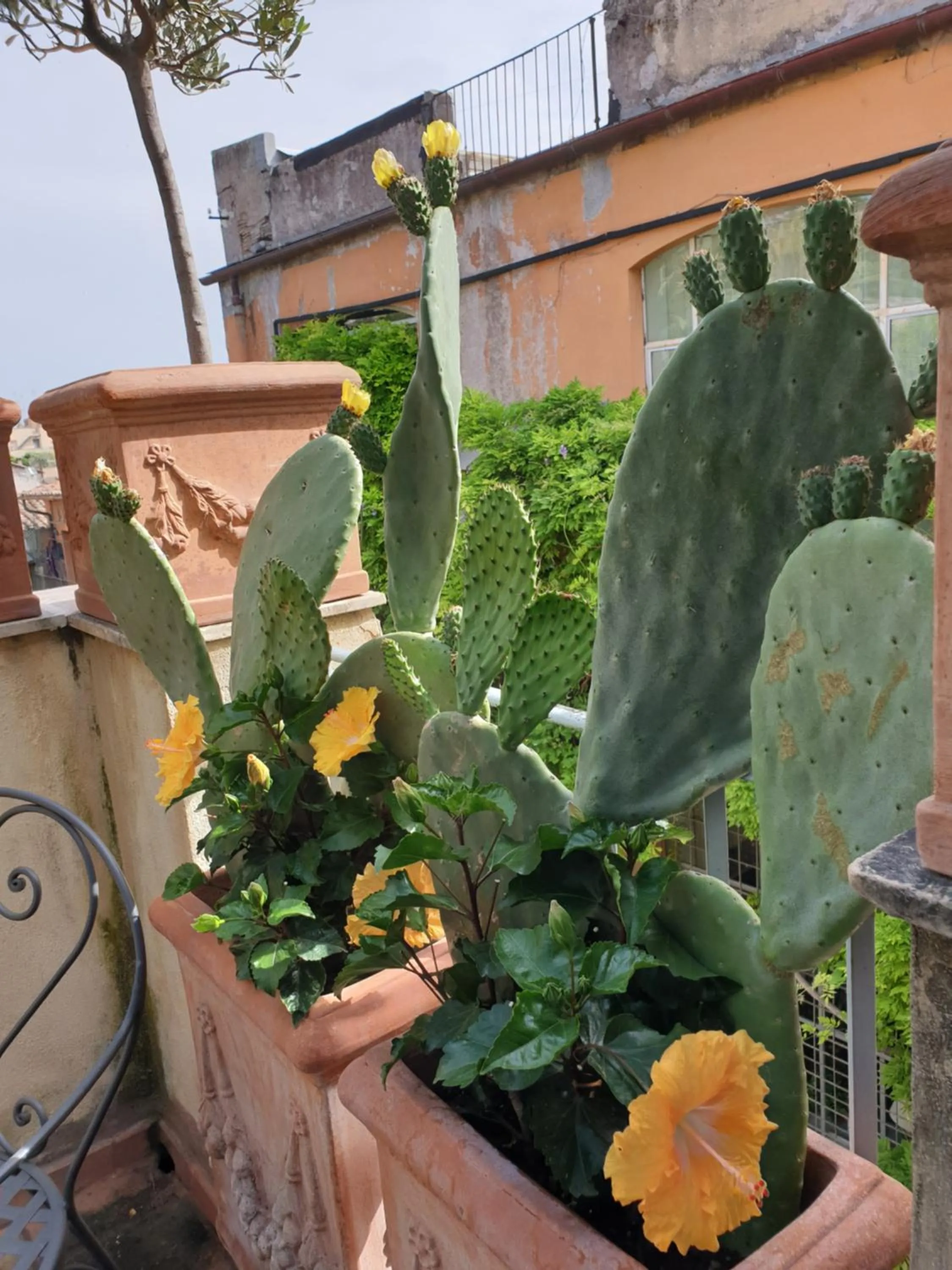 Episcopo Lipinsky Luxury Suites