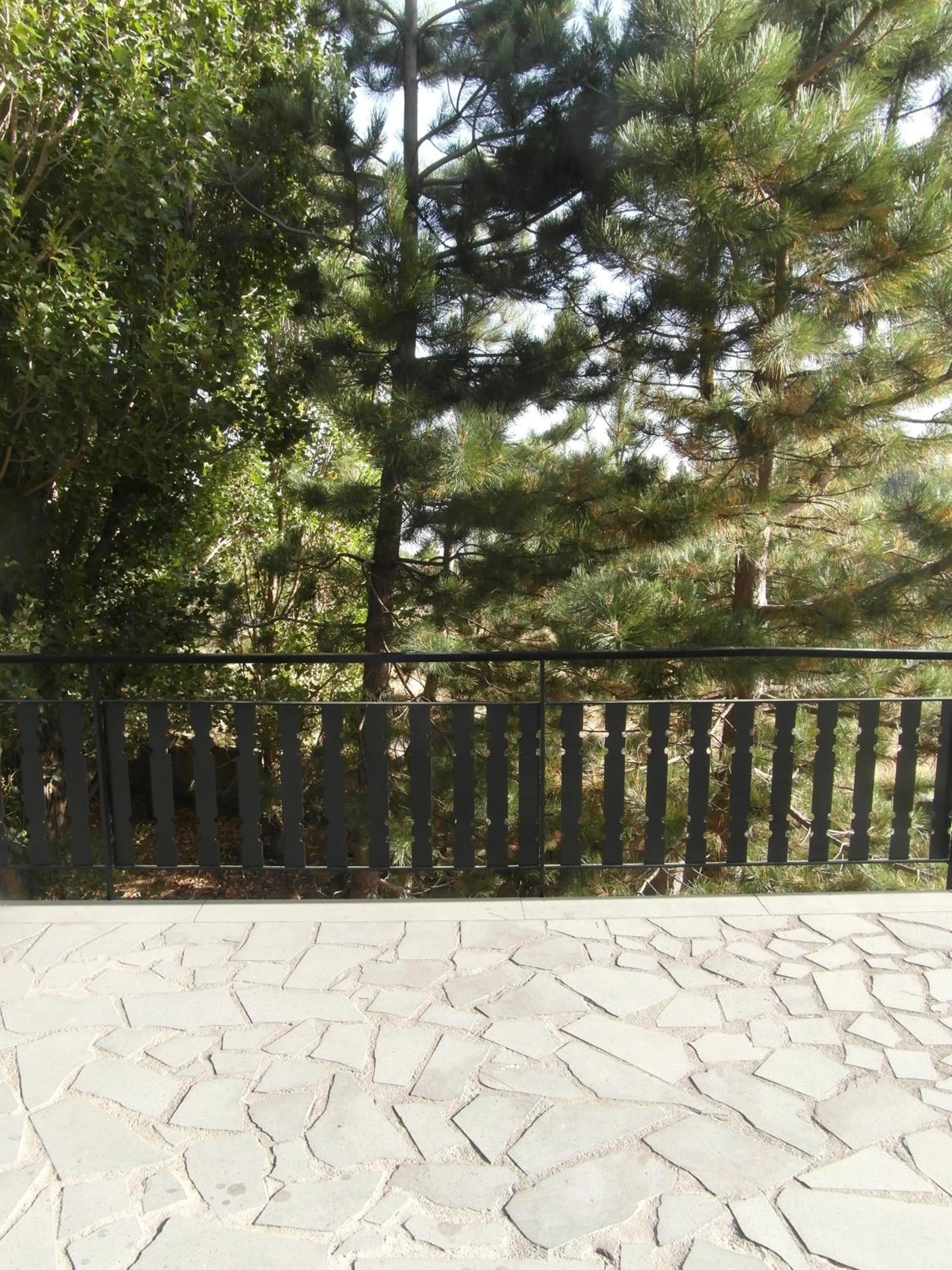 Garden view in Residence Serra La Nave