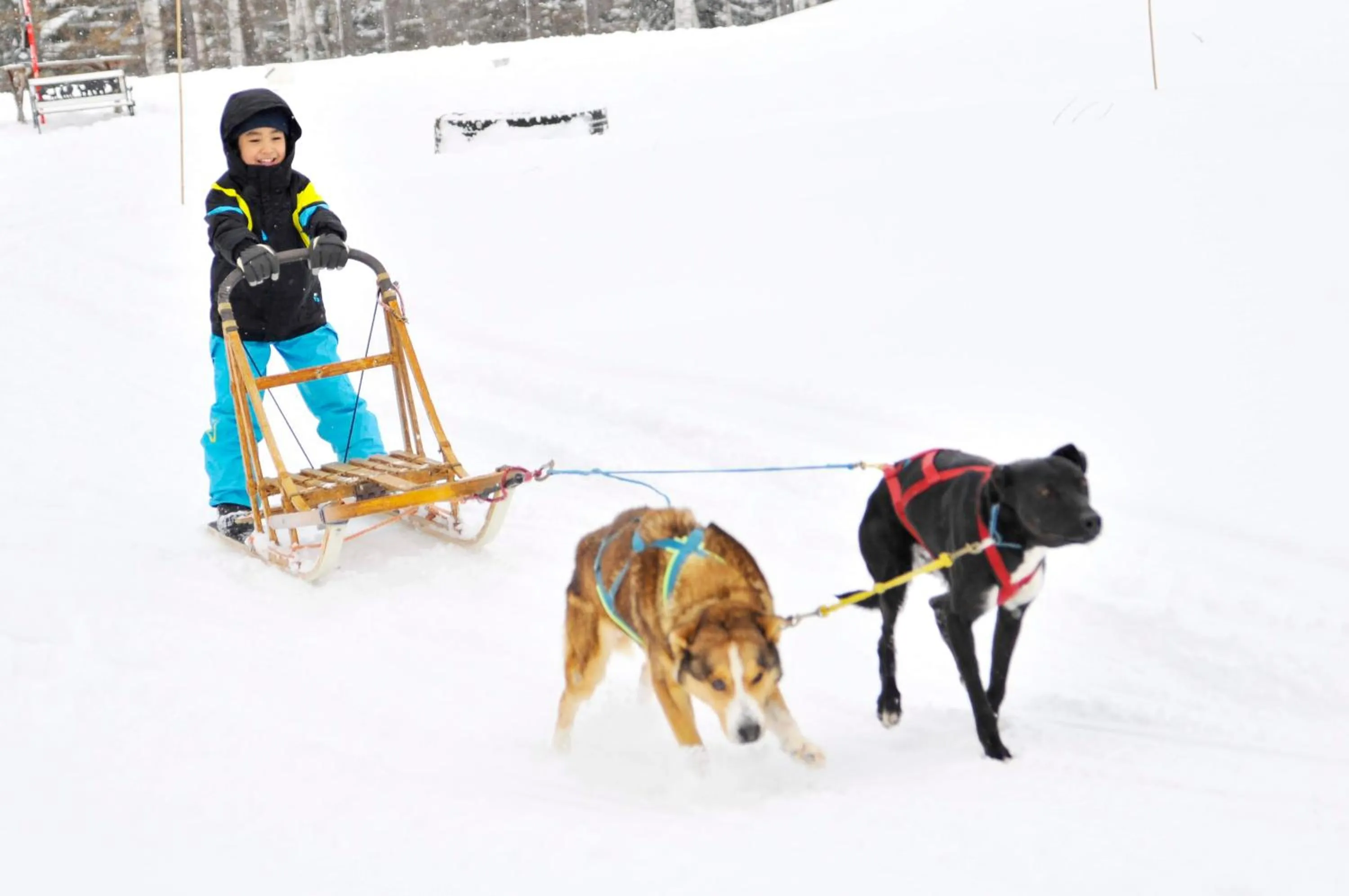 Activities in The Vale Rusutsu