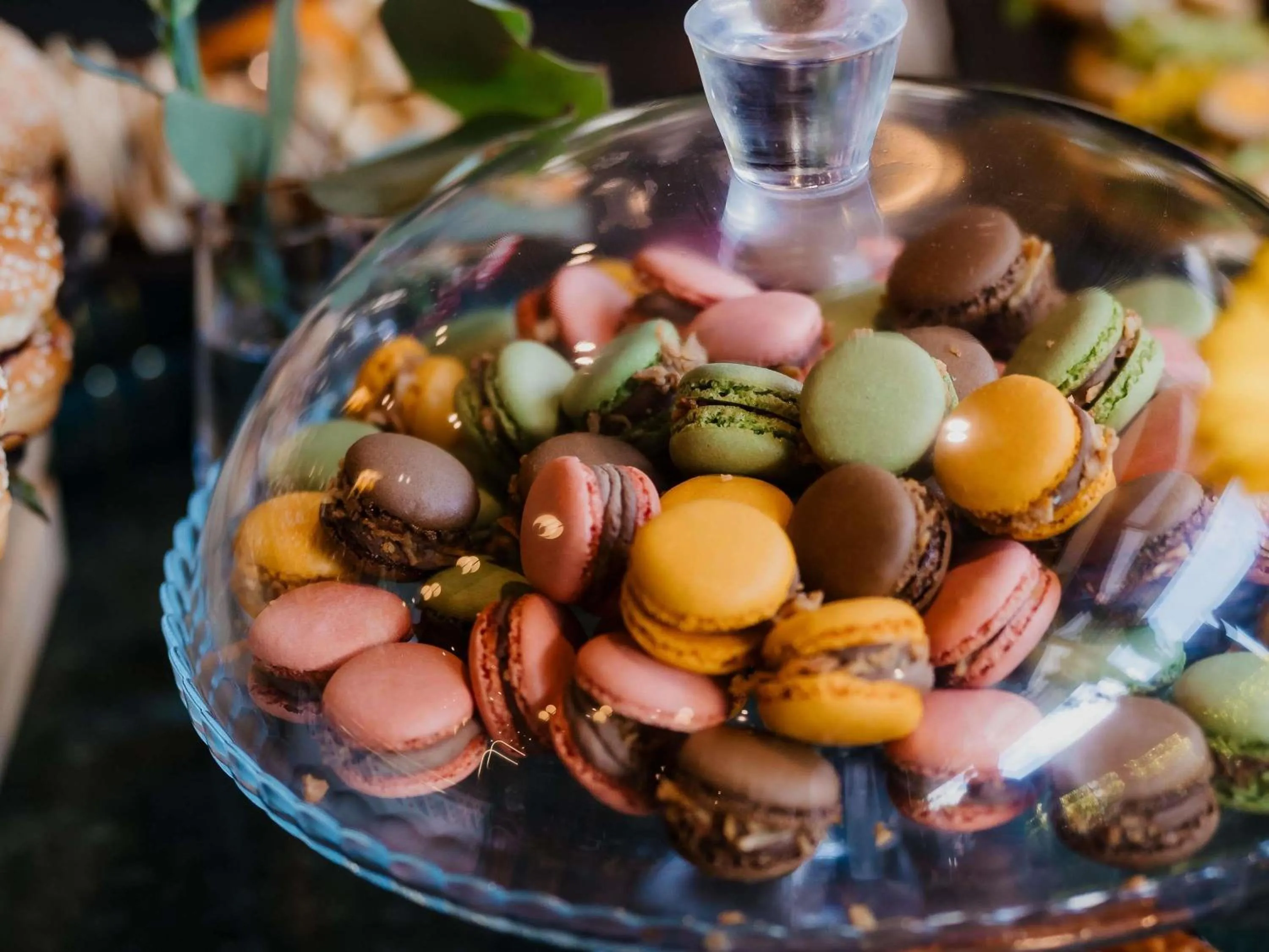 Property building in Mercure Timisoara