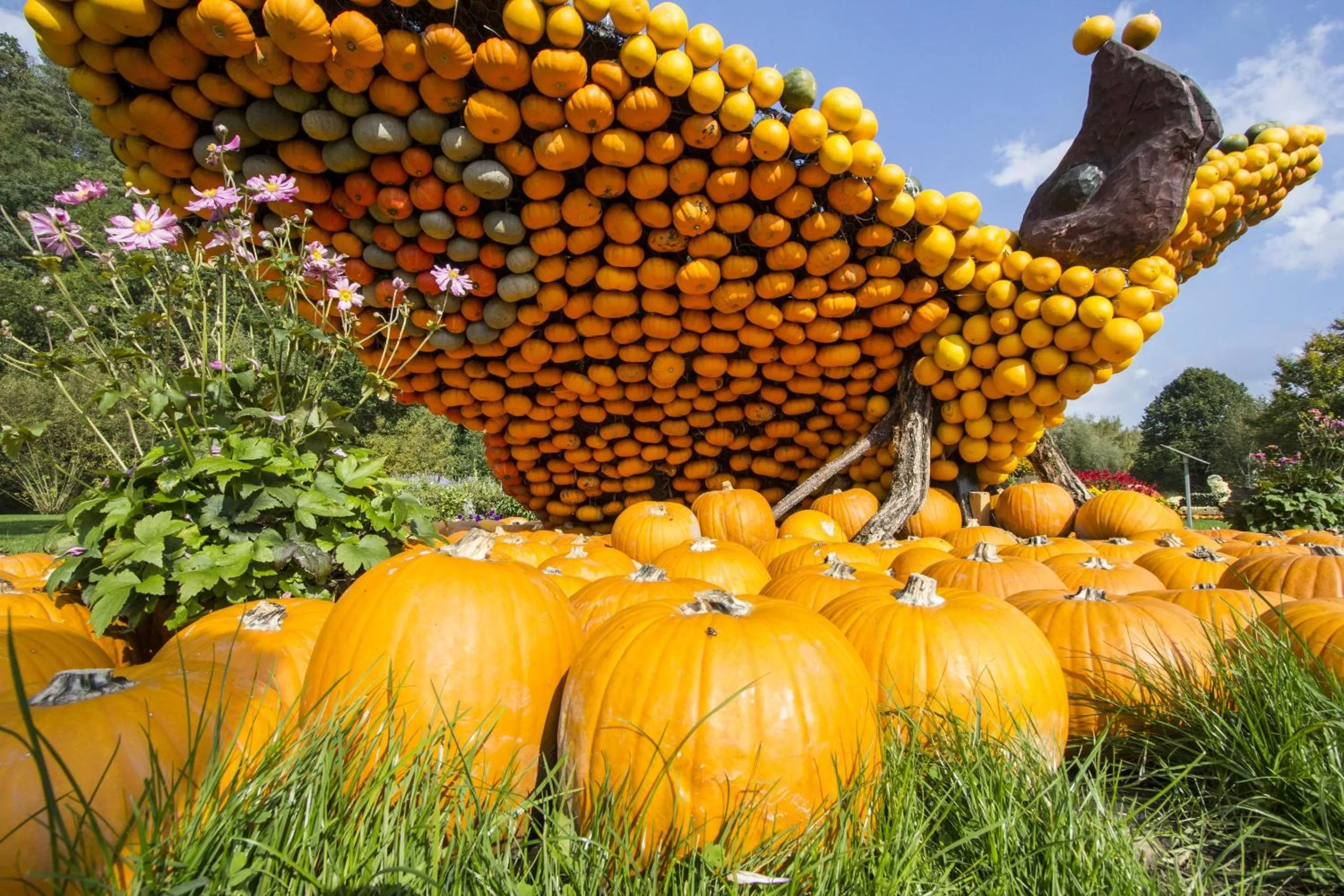 Nearby landmark in Holiday Inn Express - Kaiserslautern by IHG