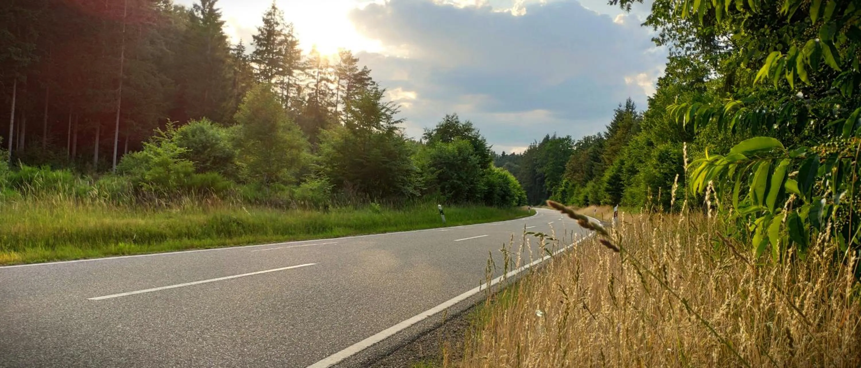 Nearby landmark in Holiday Inn Express - Kaiserslautern by IHG