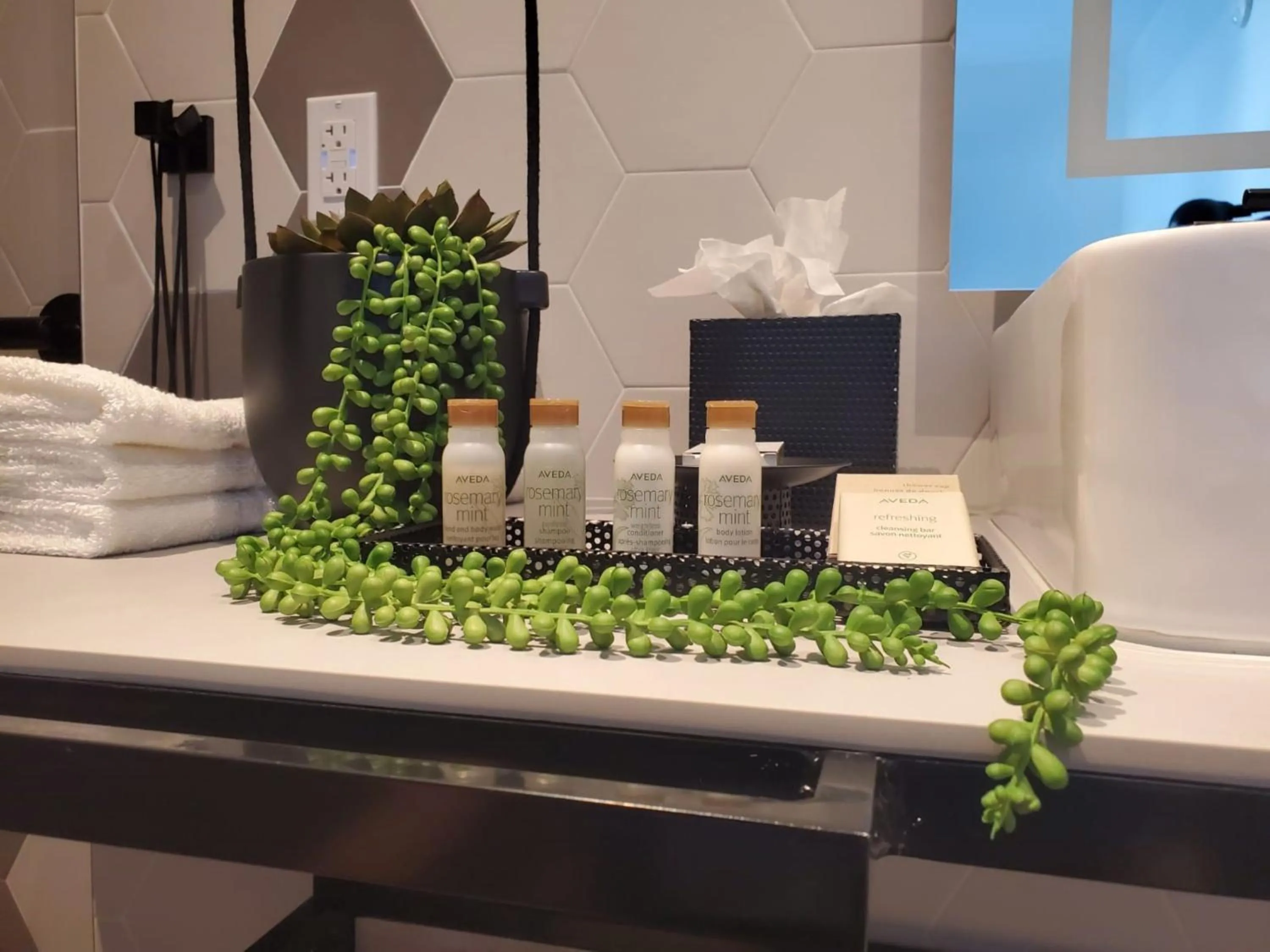 Photo of the whole room in Hotel Indigo Miami Brickell by IHG