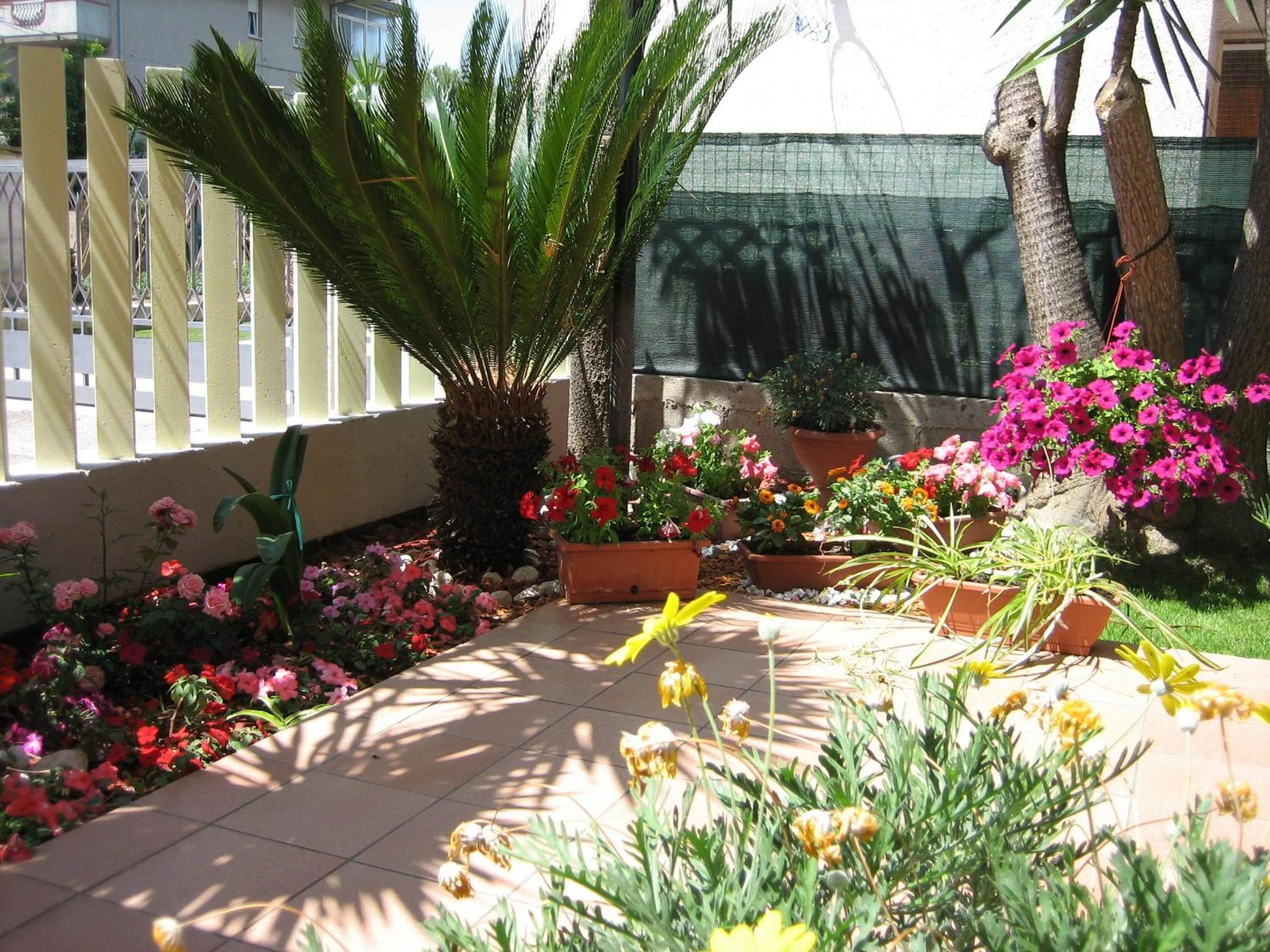 Garden in Villa Consorti