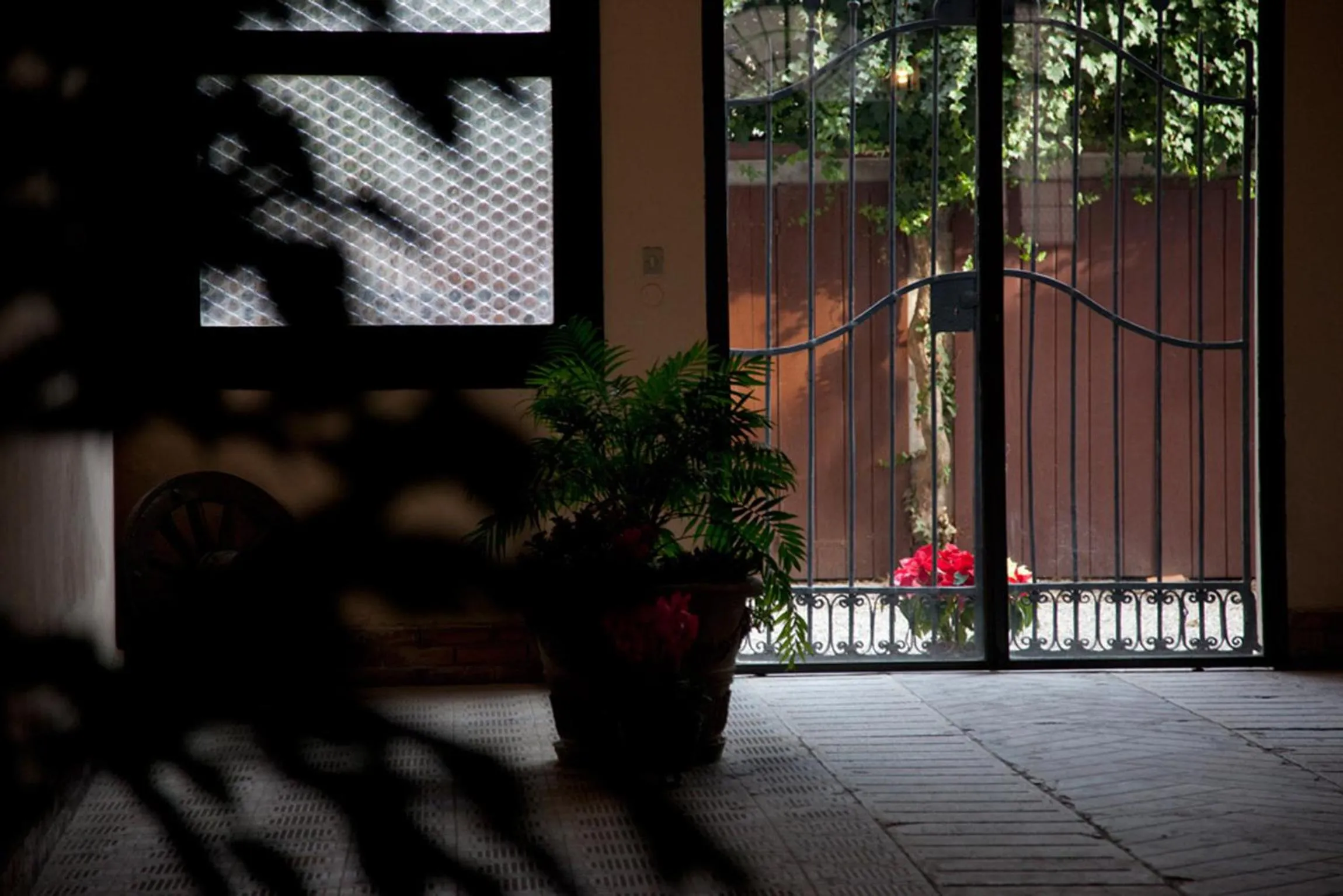 Garden in Le Case Cavallini Sgarbi di Rina Cavallini