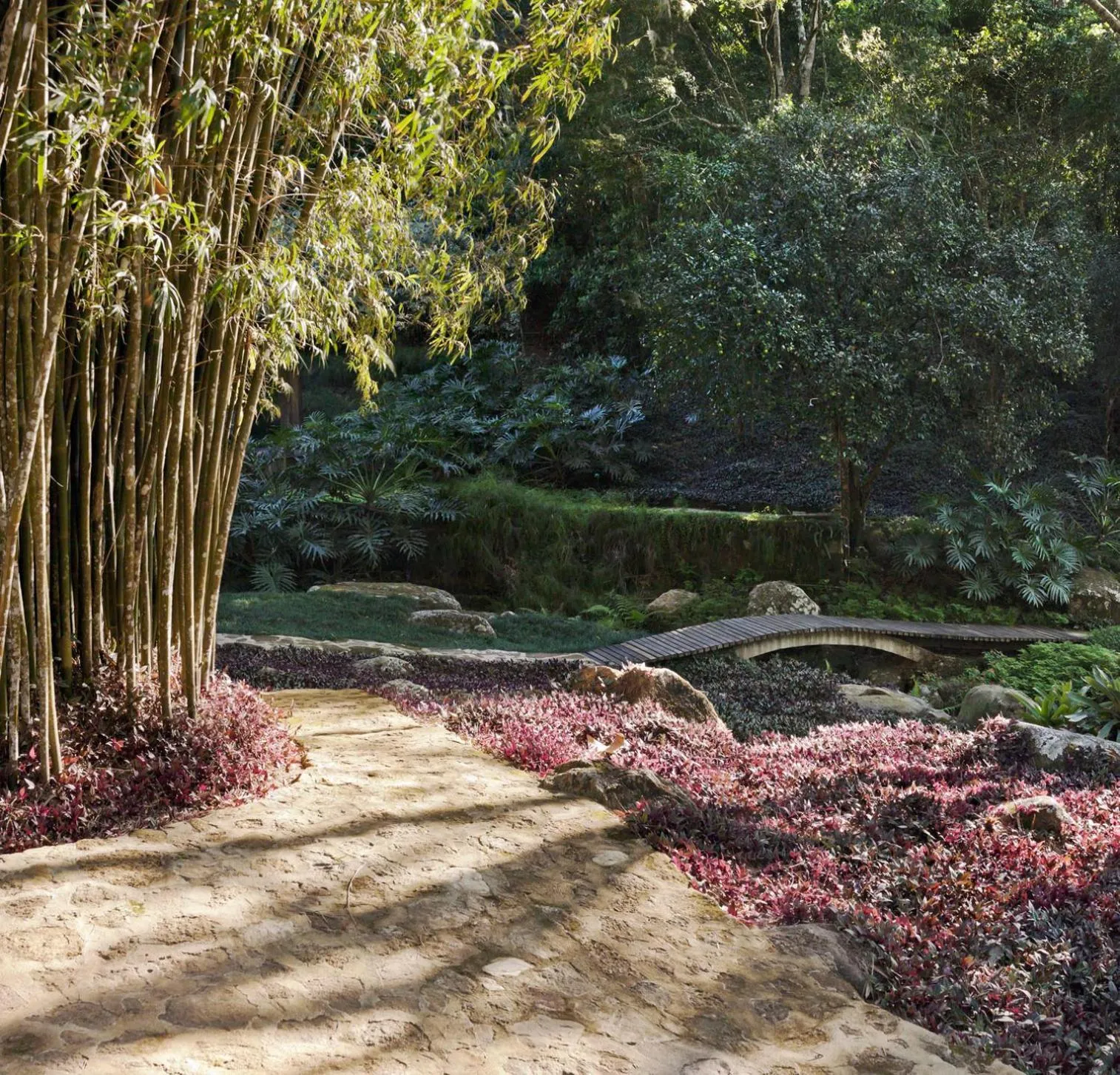 O Sitio - Ilha Grande