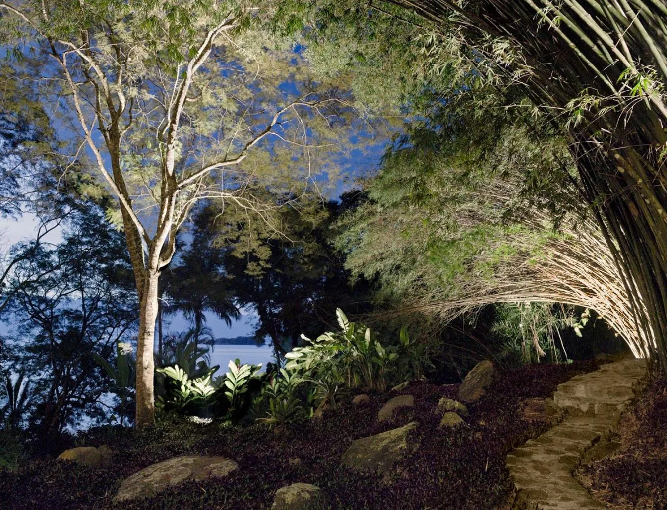 Natural landscape in O Sitio - Ilha Grande