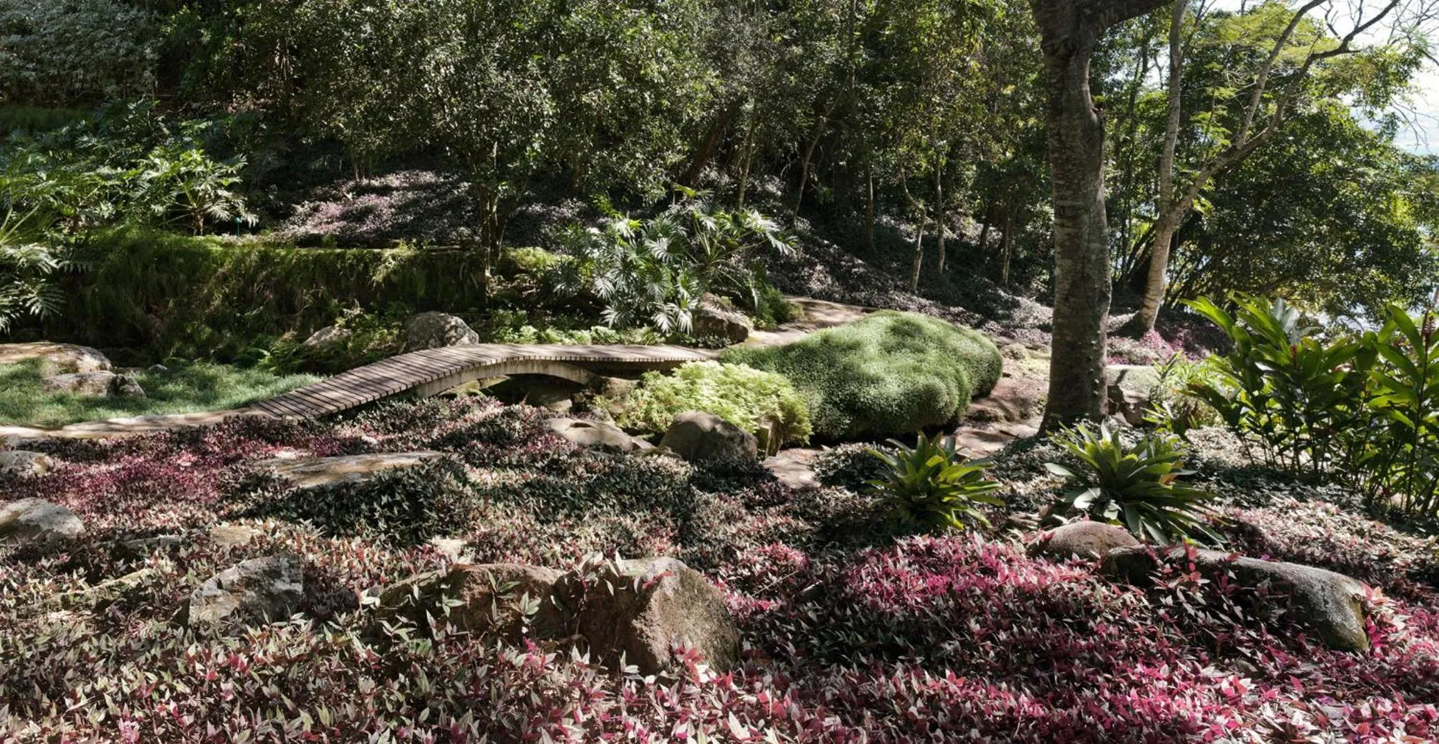 O Sitio - Ilha Grande