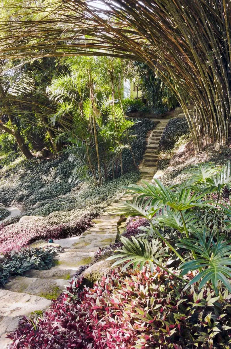 Natural landscape in O Sitio - Ilha Grande