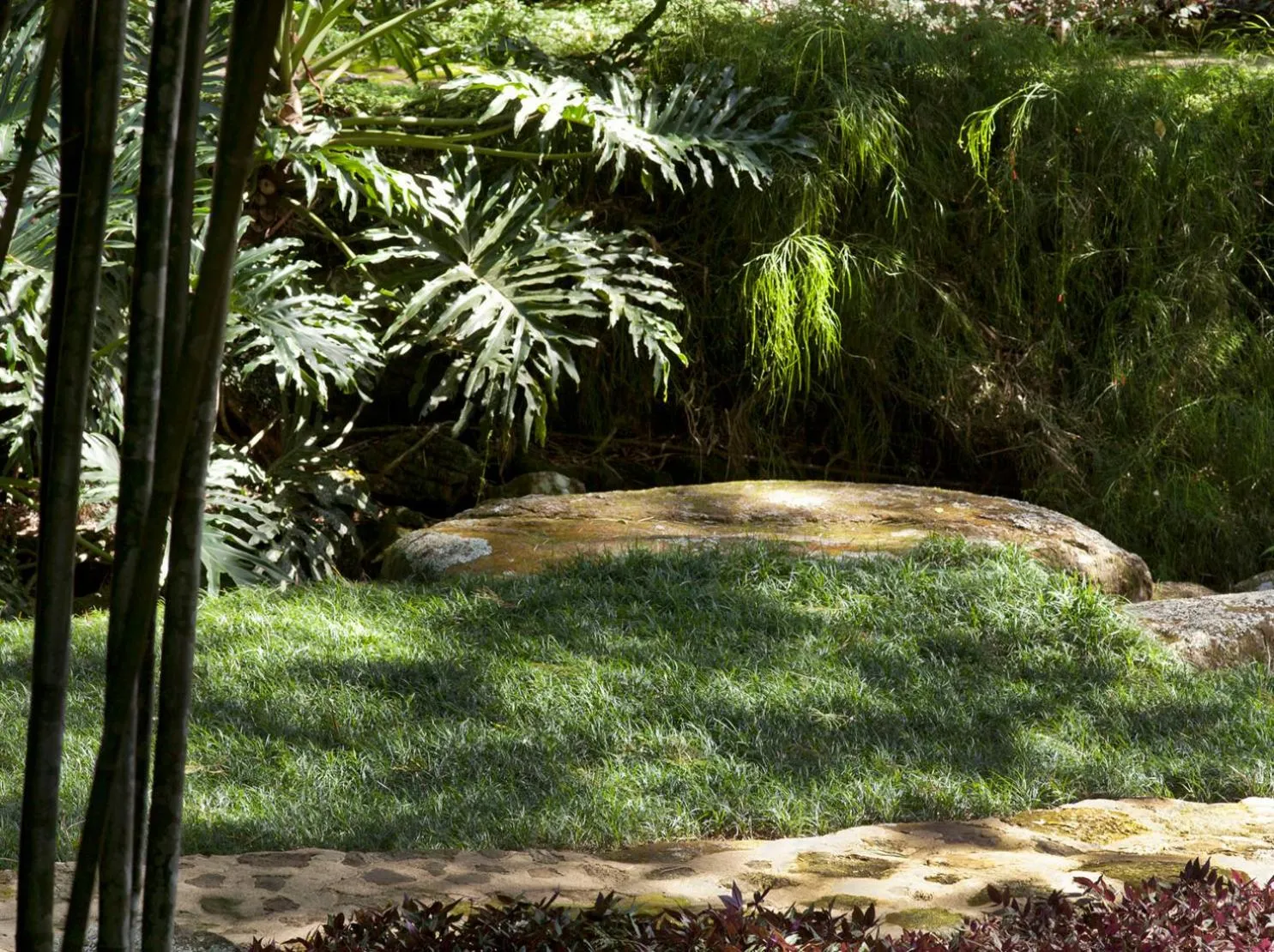 Garden in O Sitio - Ilha Grande