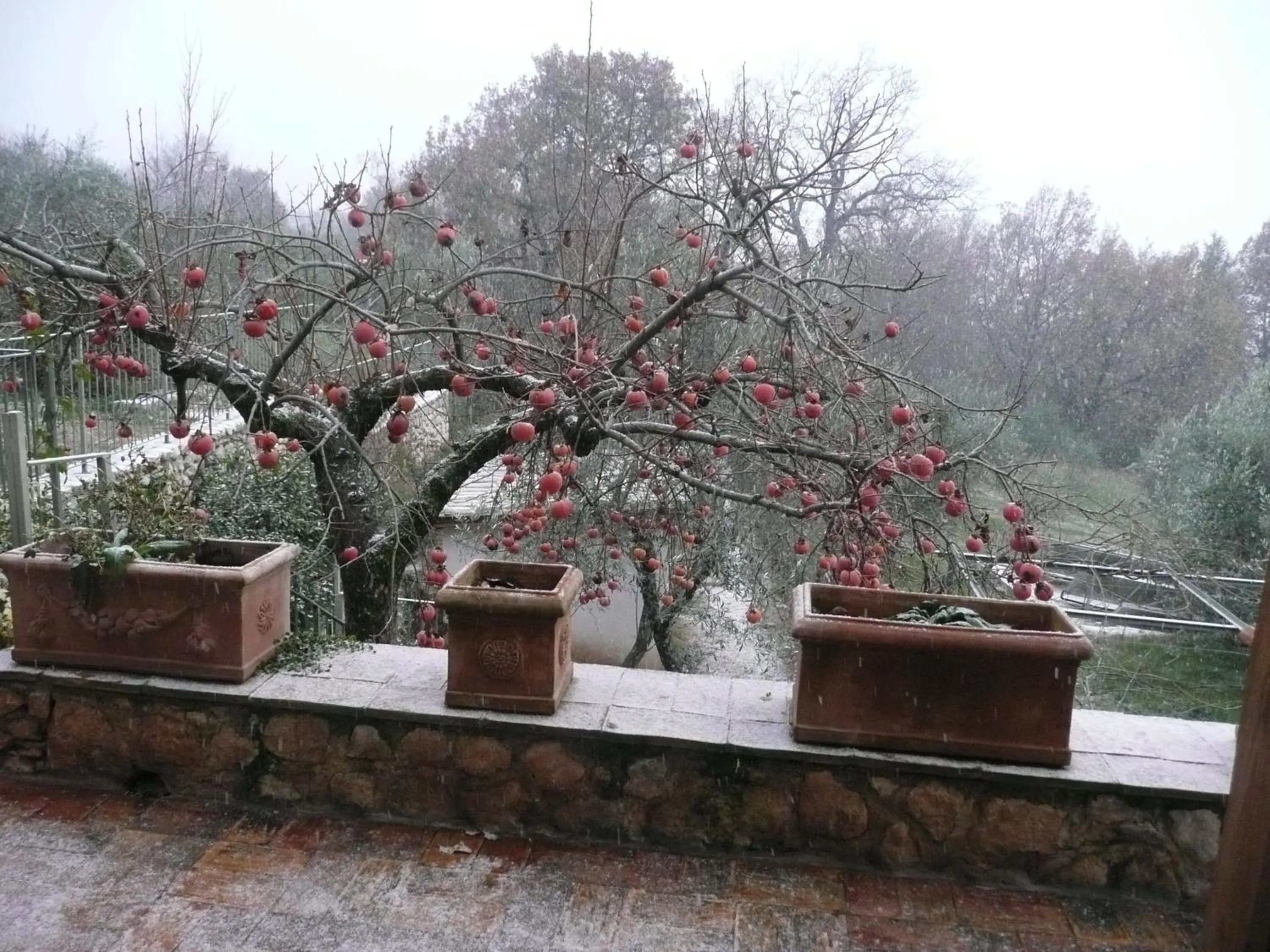 Il Bruco appartamenti in b&b