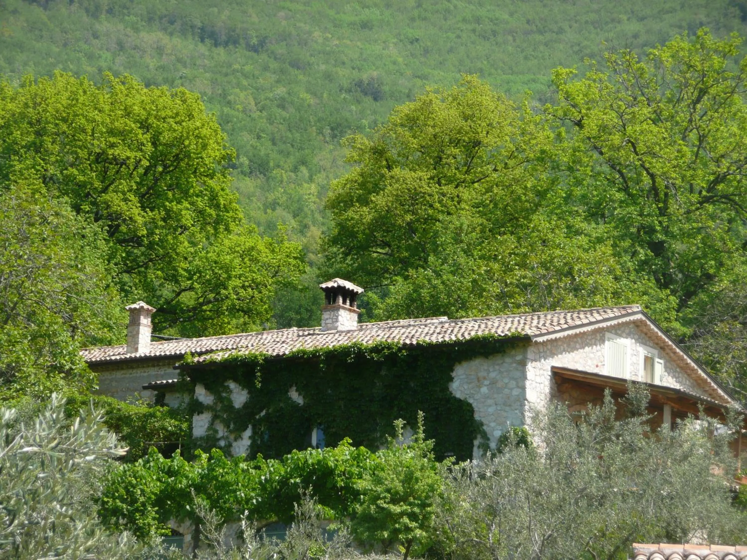 Il Bruco appartamenti in b&b