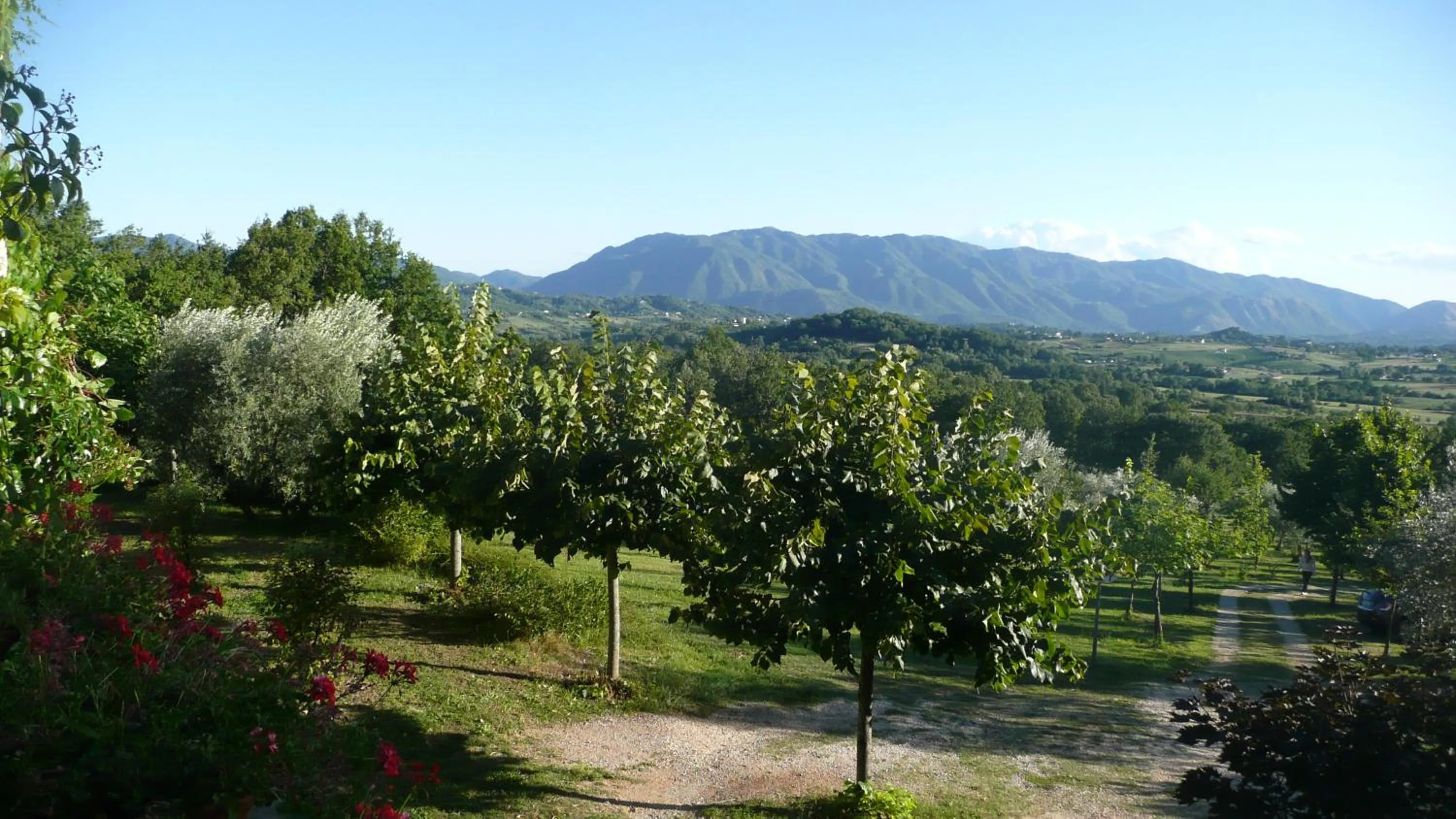 Garden in Il Bruco appartamenti in b&b