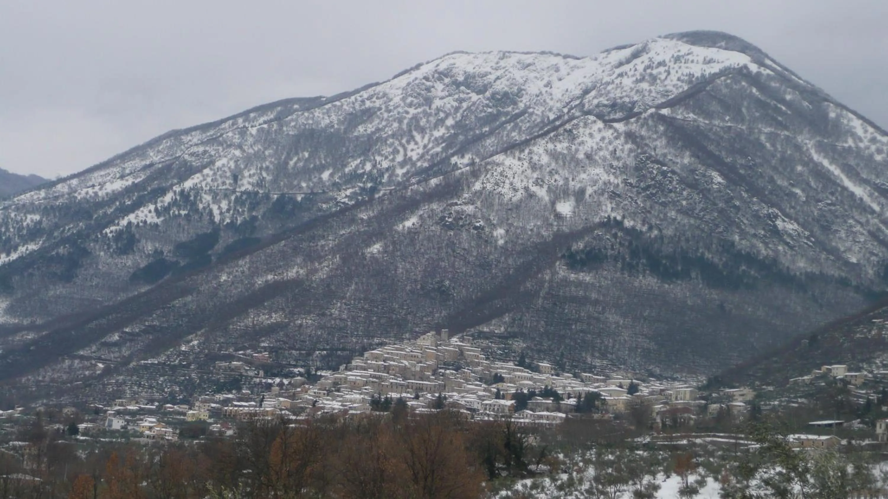 Il Bruco appartamenti in b&b