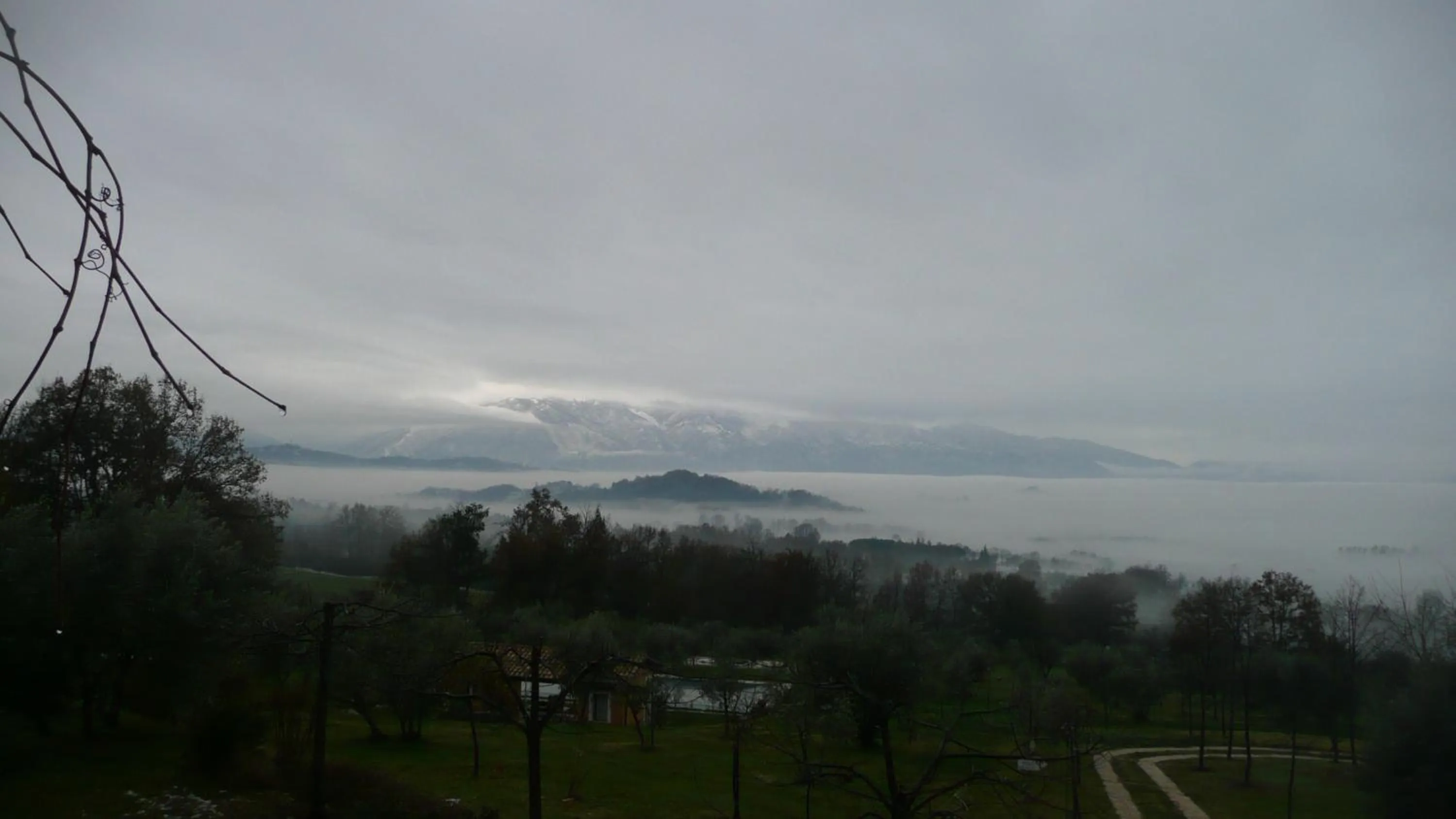 Il Bruco appartamenti in b&b