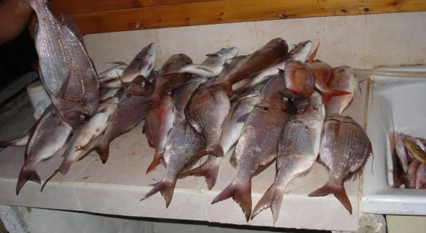 Restaurant/places to eat in Blue Bab B&B