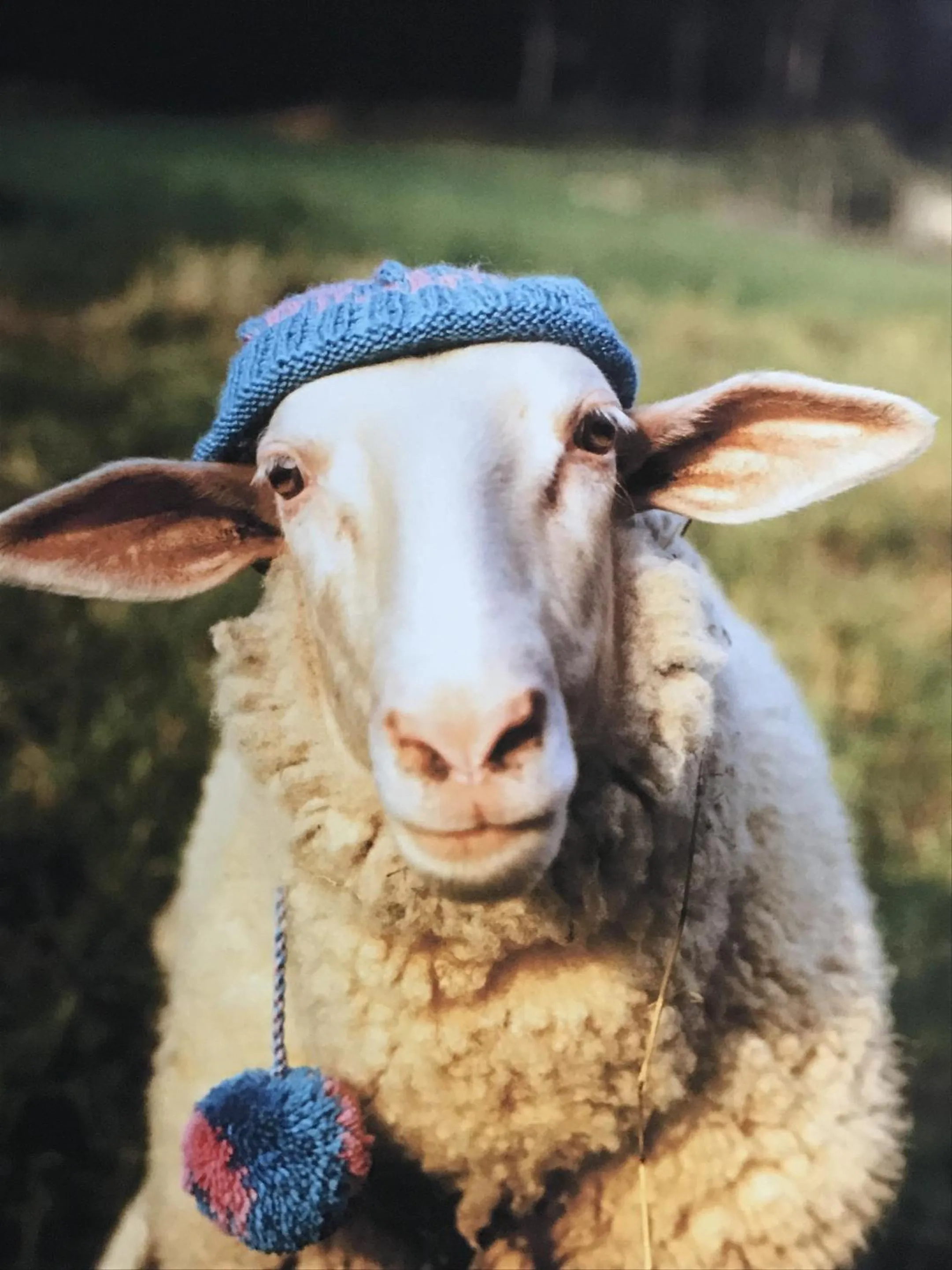 Natural landscape in James’ Place @ Bike Park Wales and The Brecon Beacons