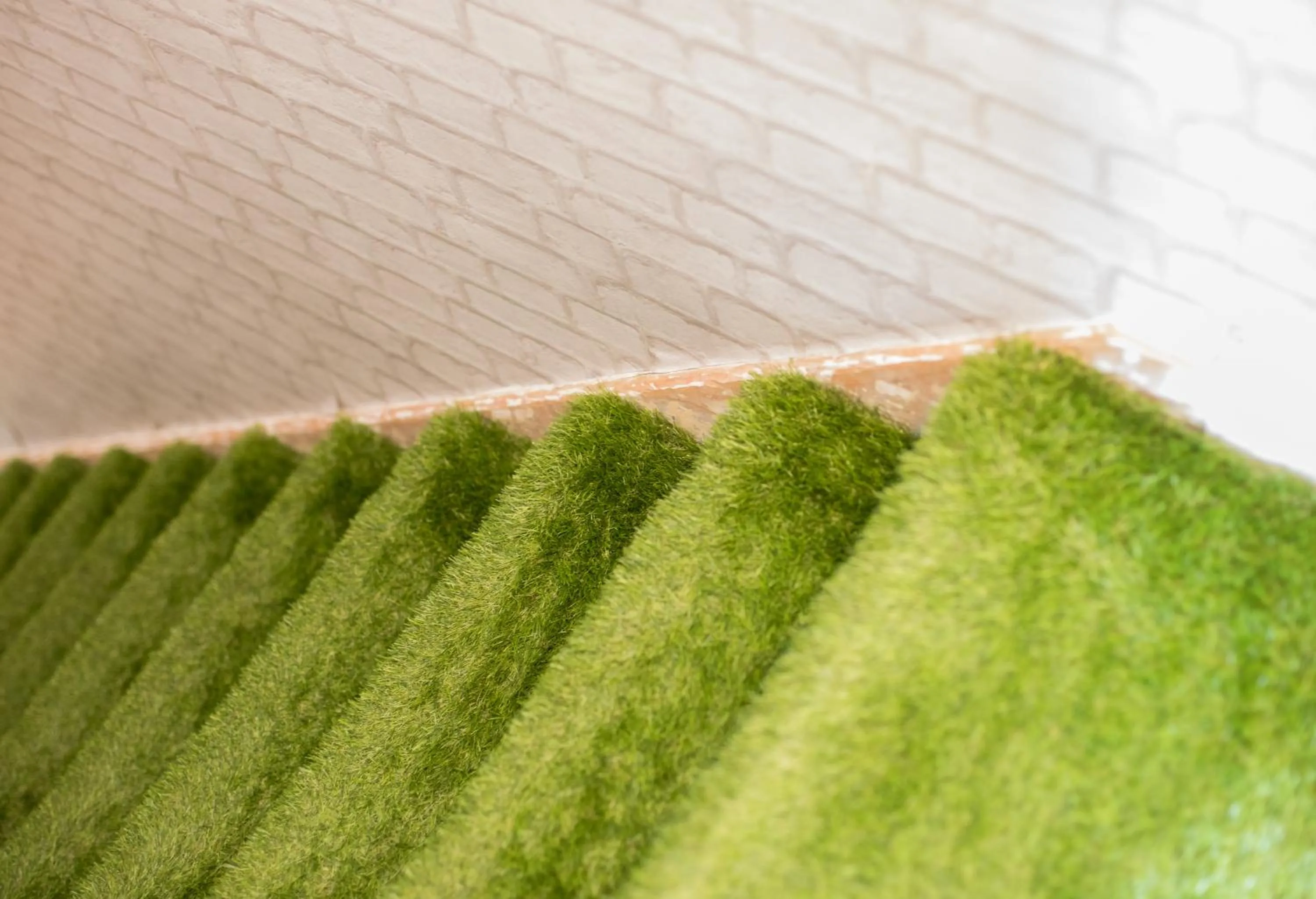 Other in James’ Place @ Bike Park Wales and The Brecon Beacons