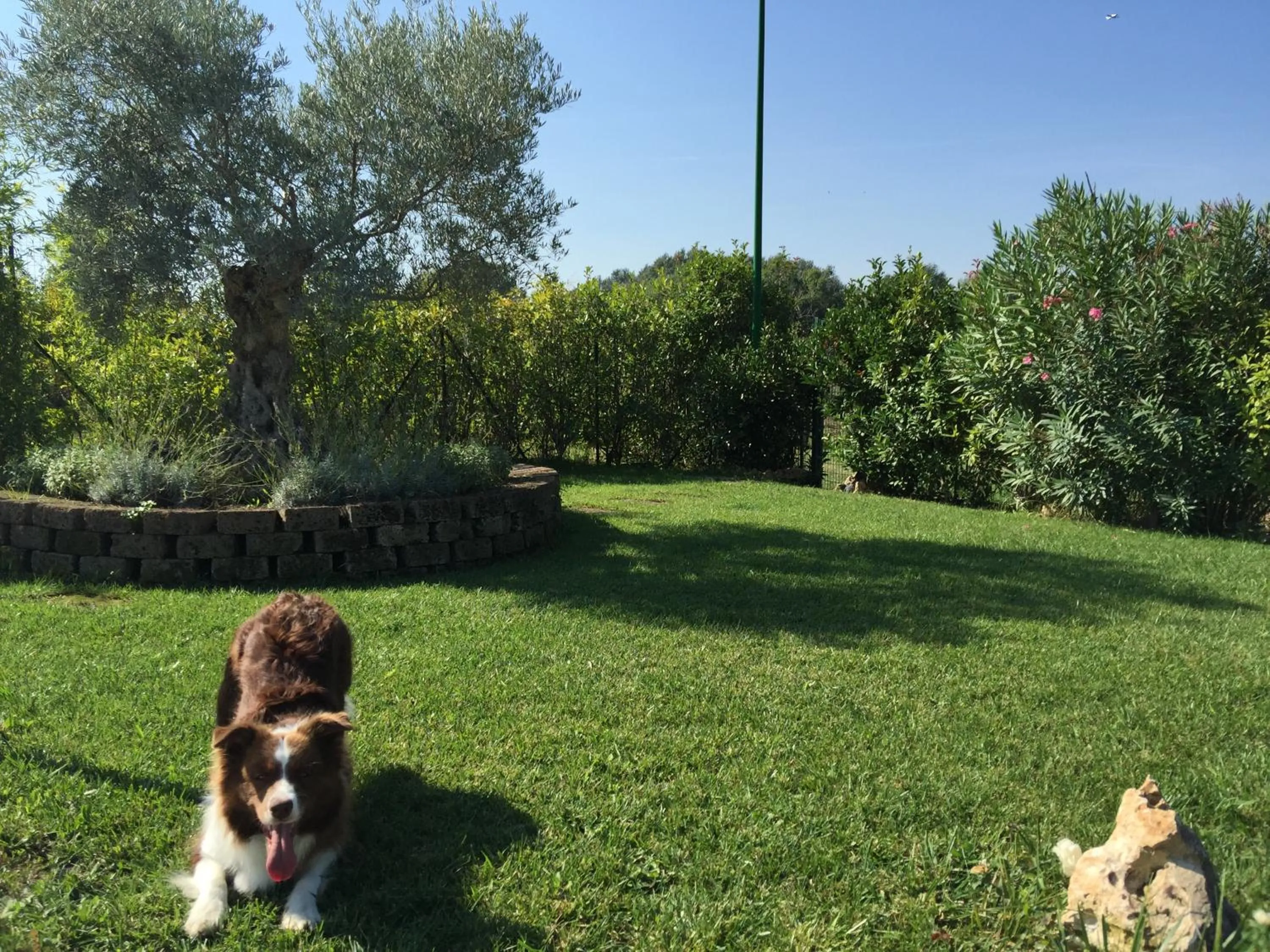 Property building in Bed & Breakfast Case Osti