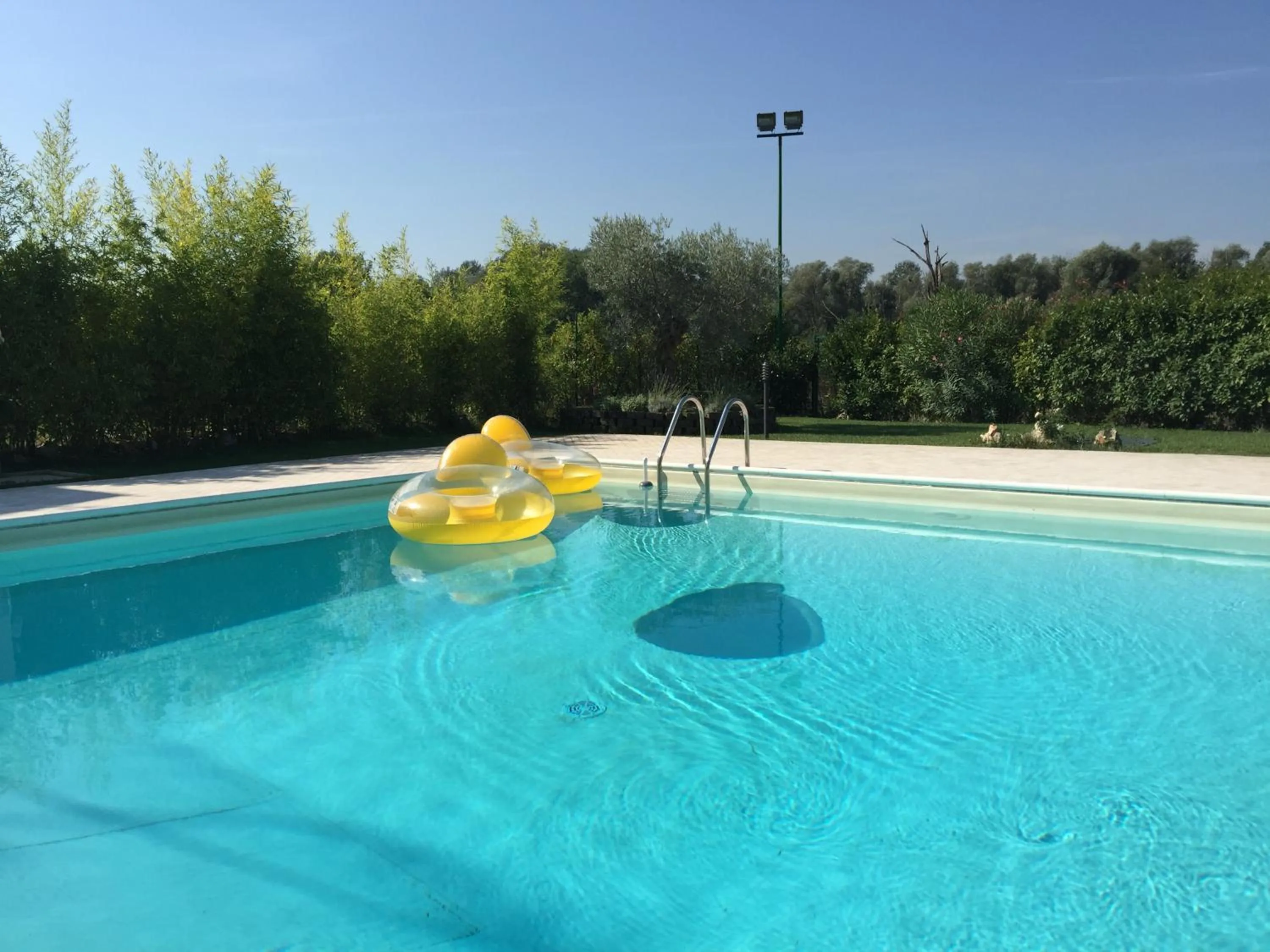 Garden in Bed & Breakfast Case Osti