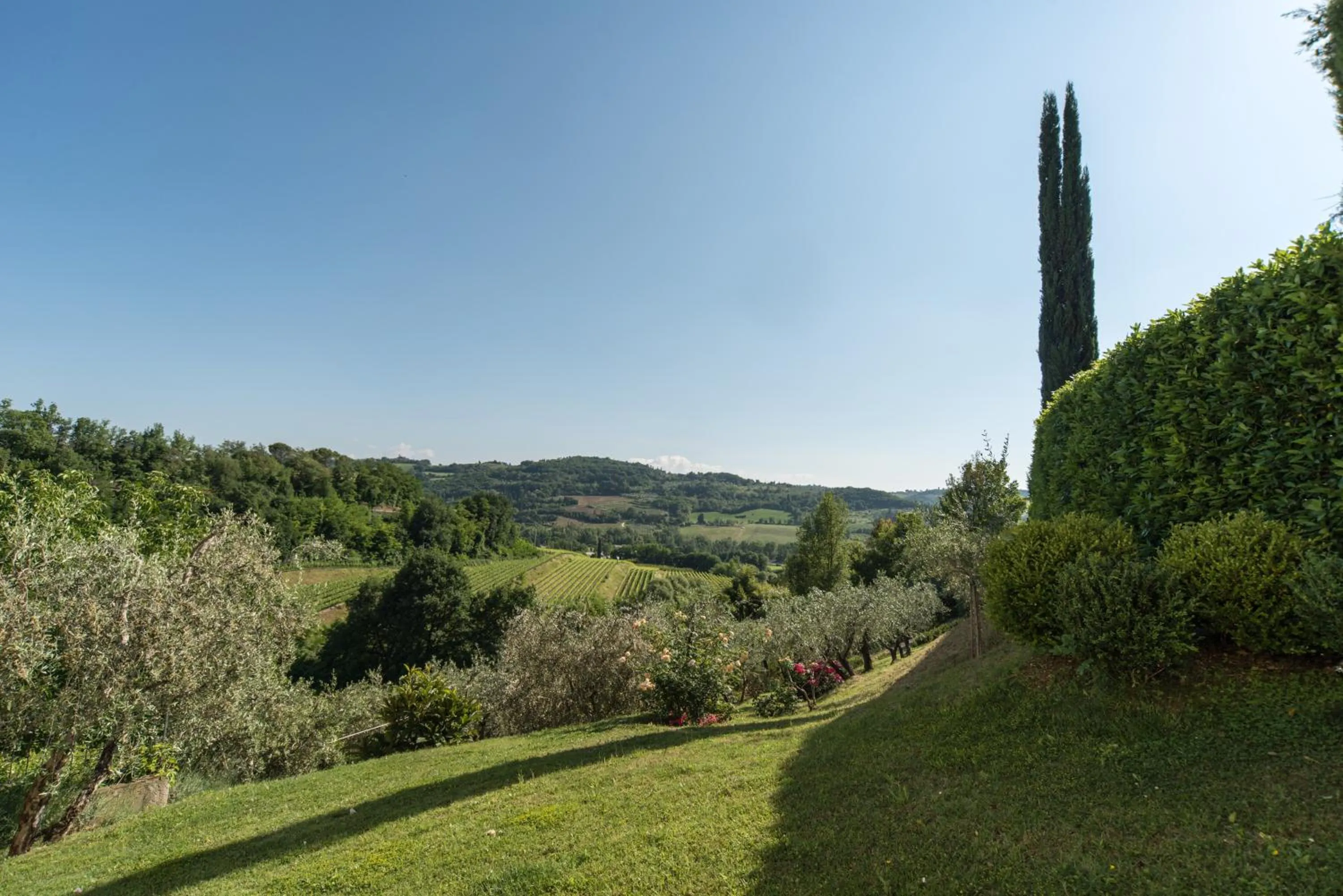 Garden in B&B Le Dimore Mezza Costa