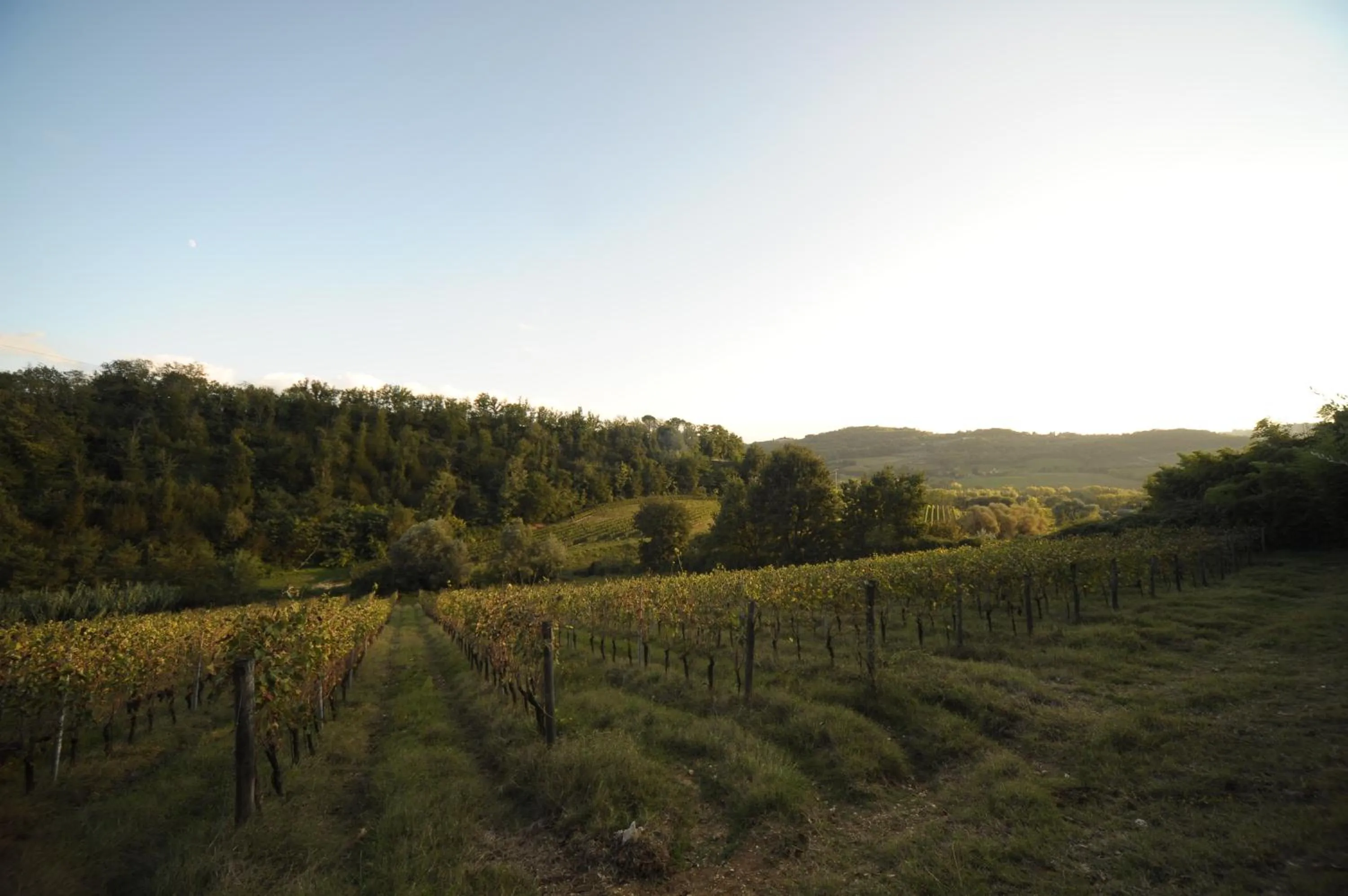 Bird's eye view in B&B Le Dimore Mezza Costa