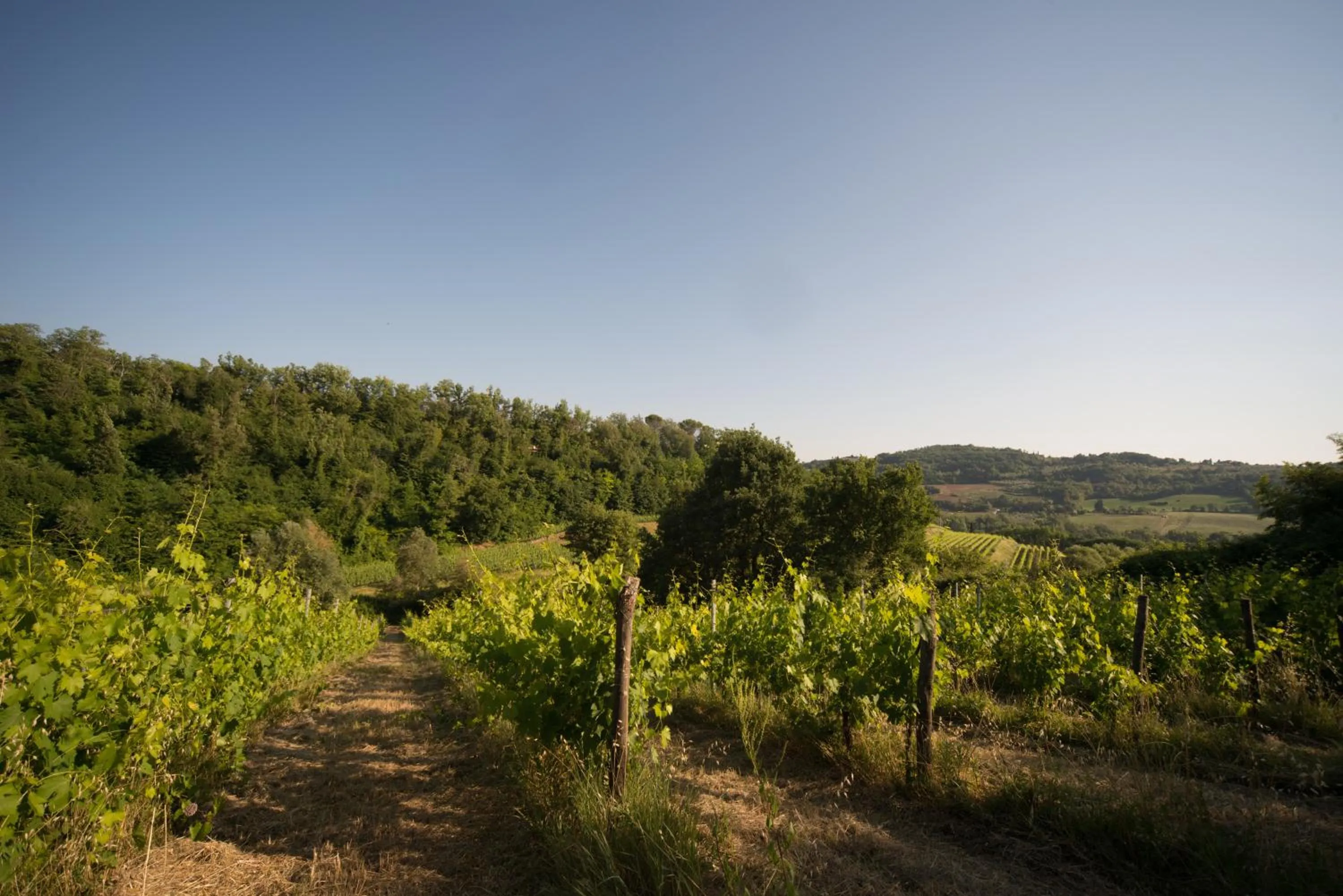 Natural landscape in B&B Le Dimore Mezza Costa