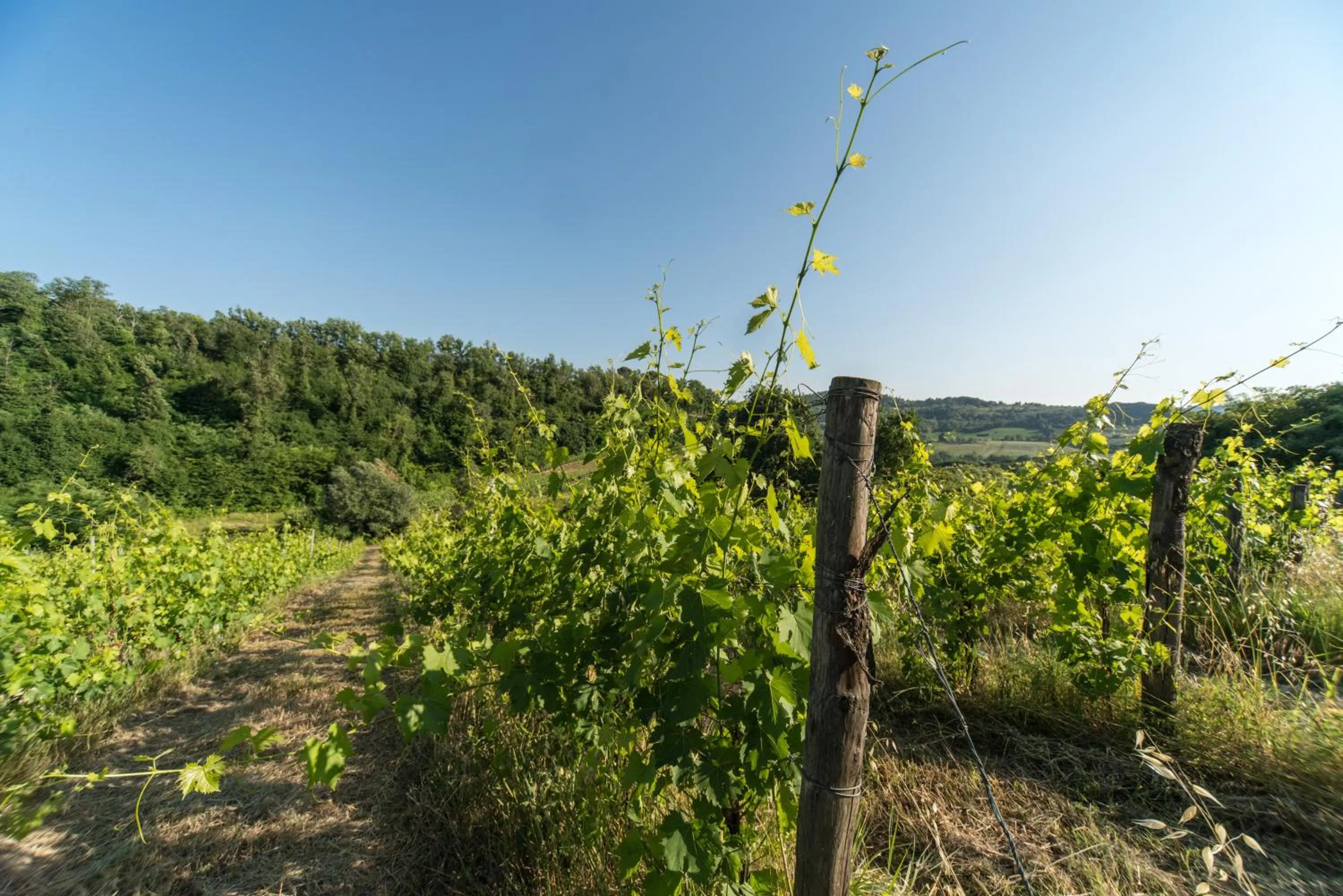 Natural landscape in B&B Le Dimore Mezza Costa