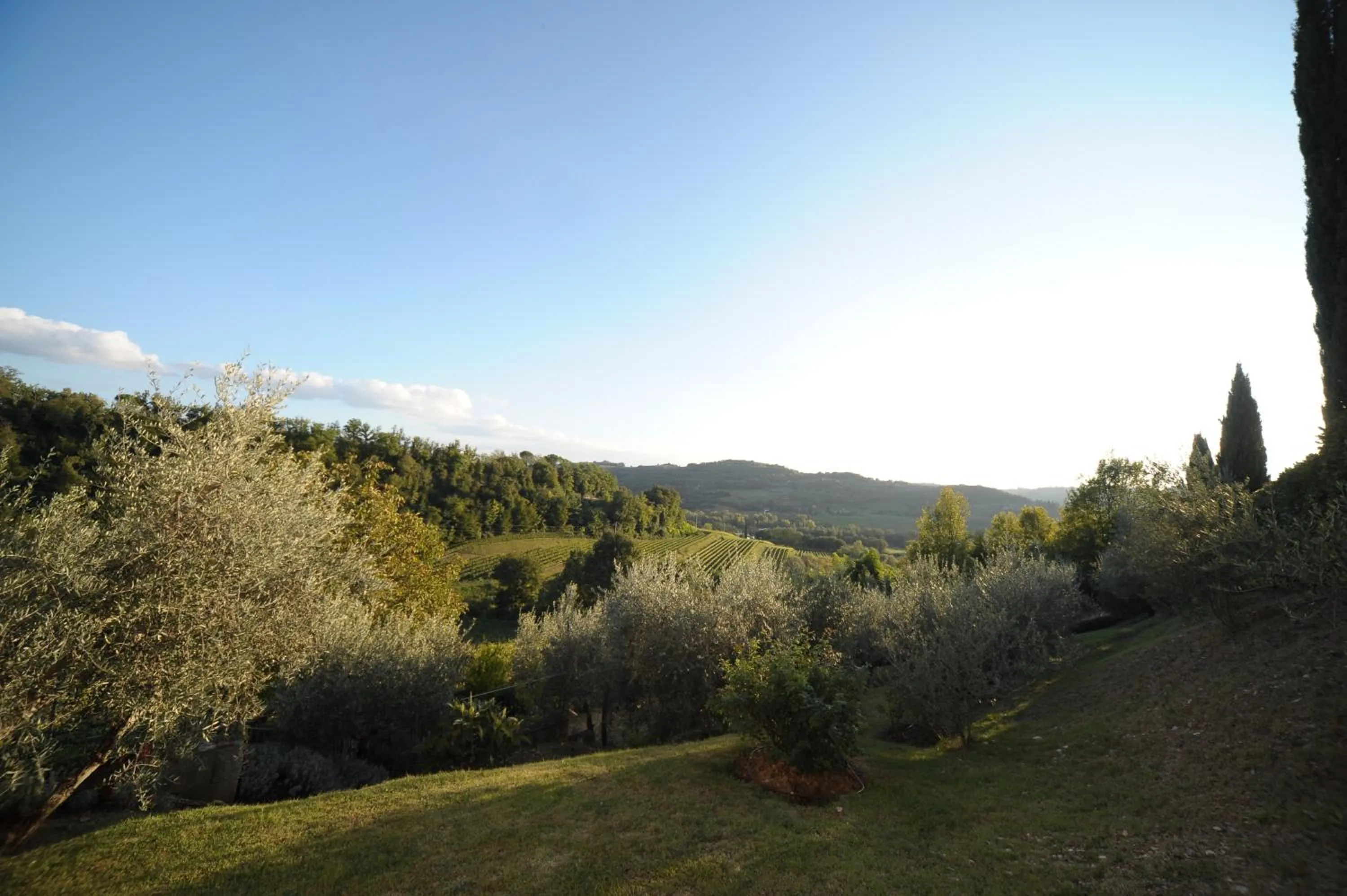 Garden in B&B Le Dimore Mezza Costa