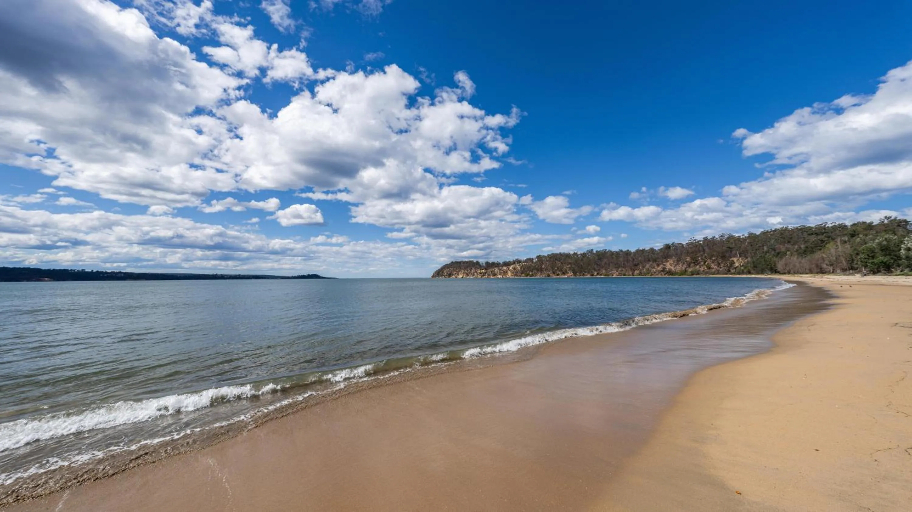 Natural landscape in Boydtown Beach Holiday Park