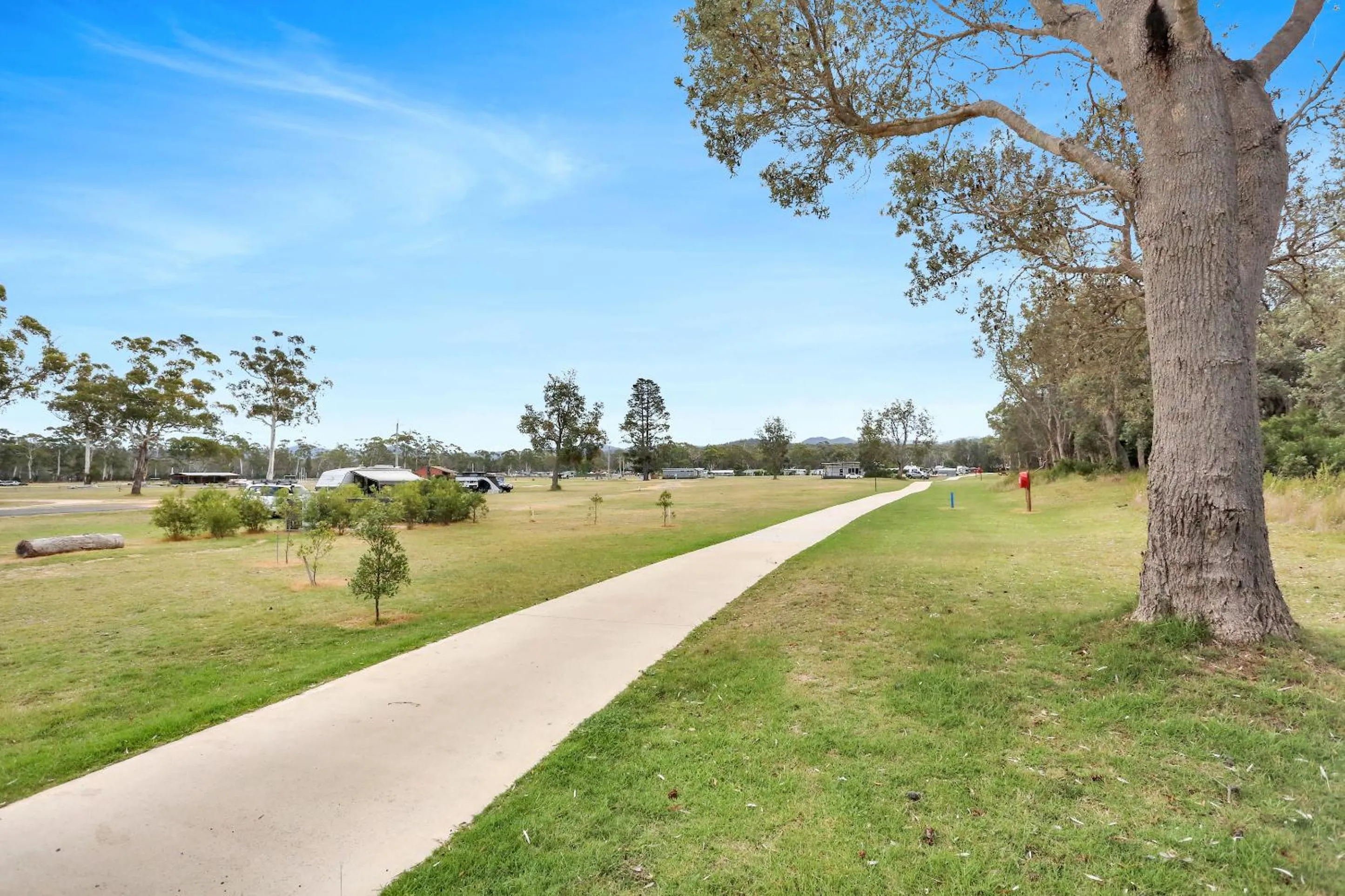 Natural landscape in Boydtown Beach Holiday Park