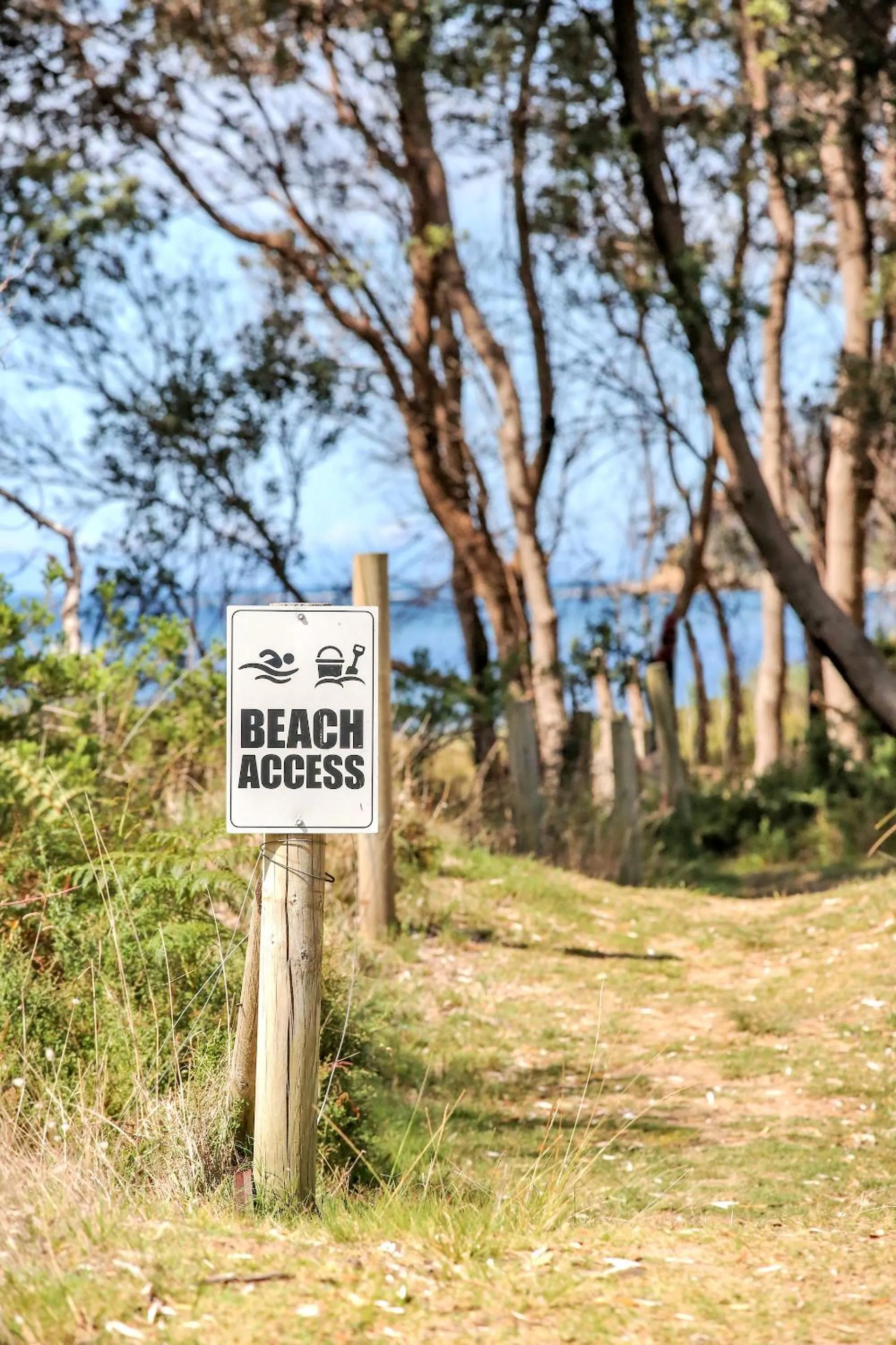 Natural landscape in Boydtown Beach Holiday Park