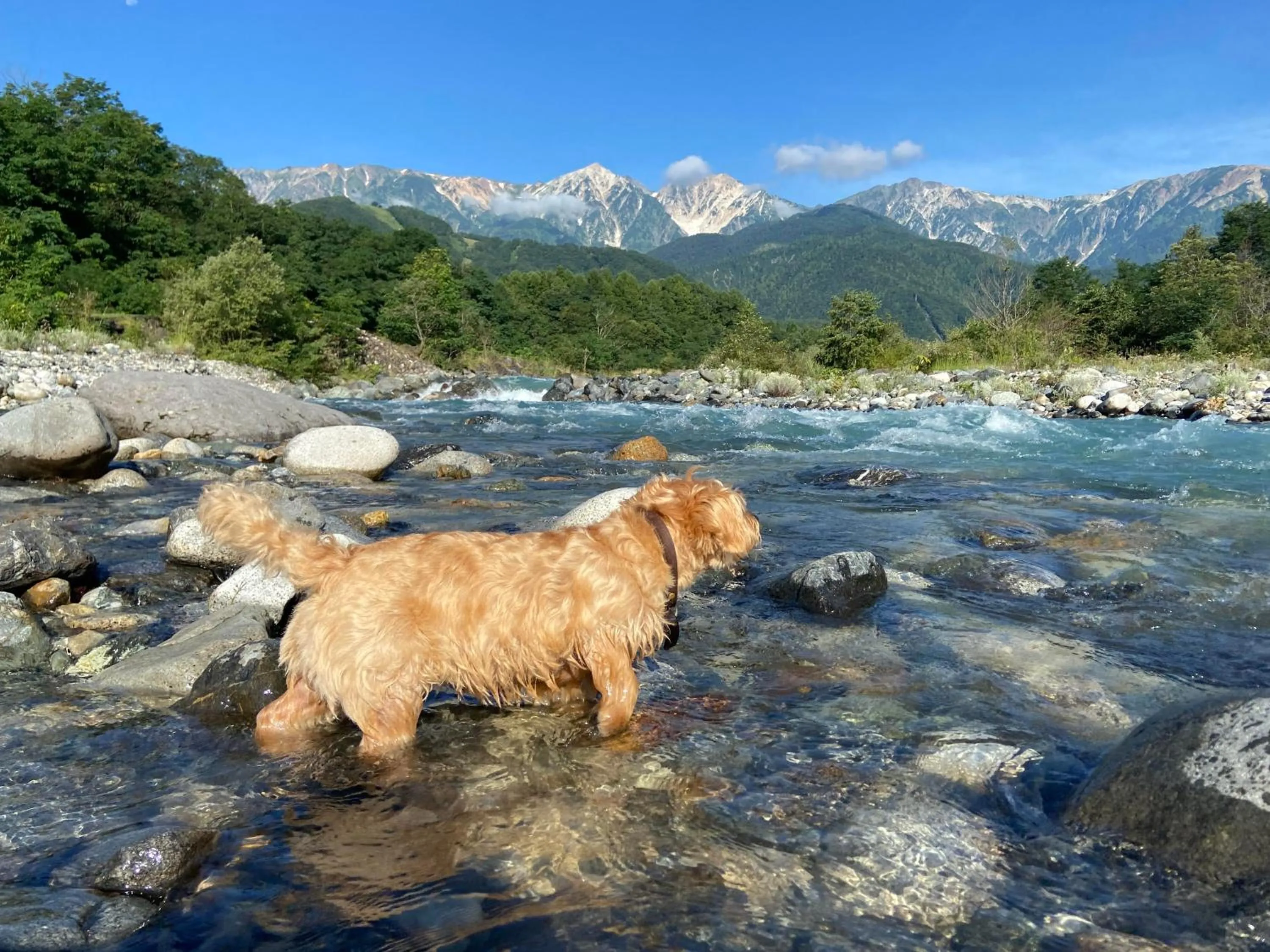 Natural landscape in 白馬パウダーマウンテン