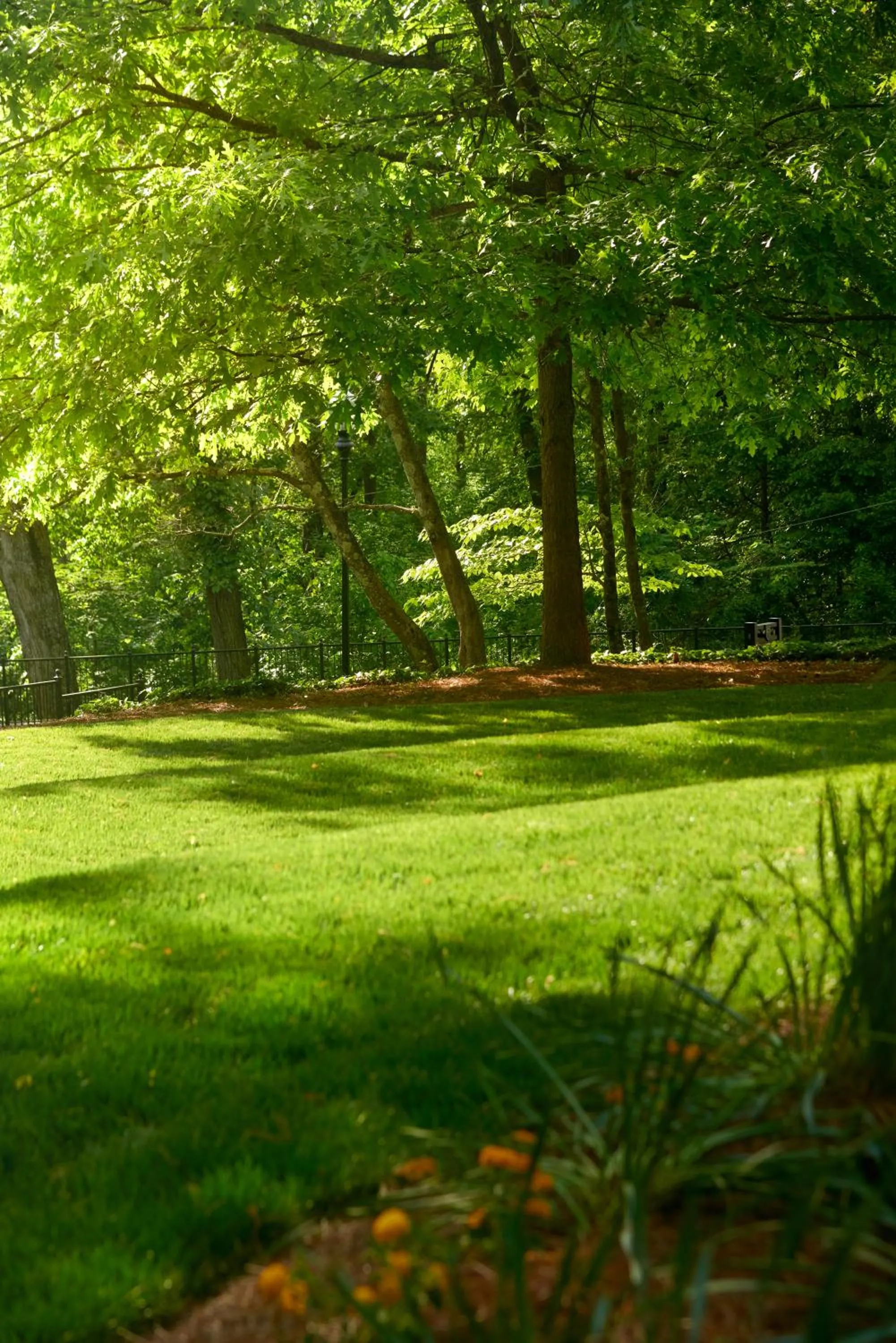 Garden in Emory Conference Center Hotel