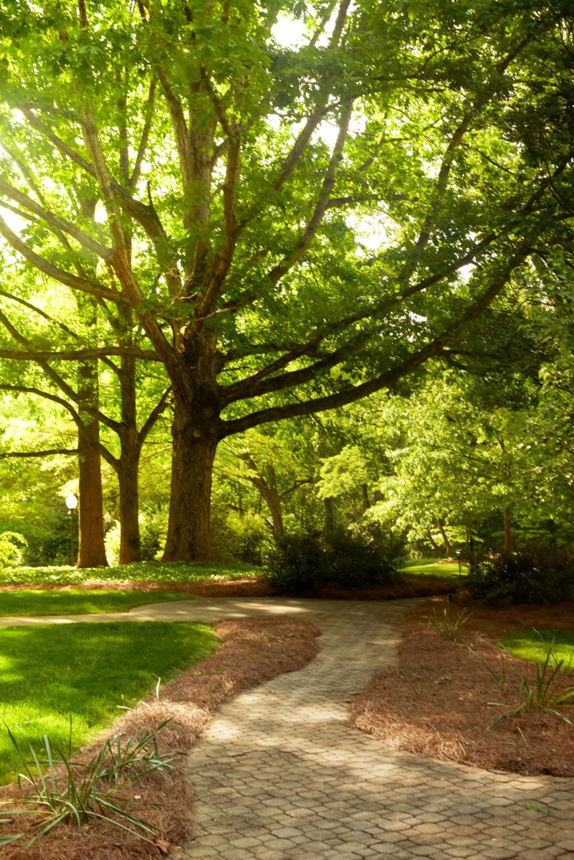 Garden in Emory Conference Center Hotel