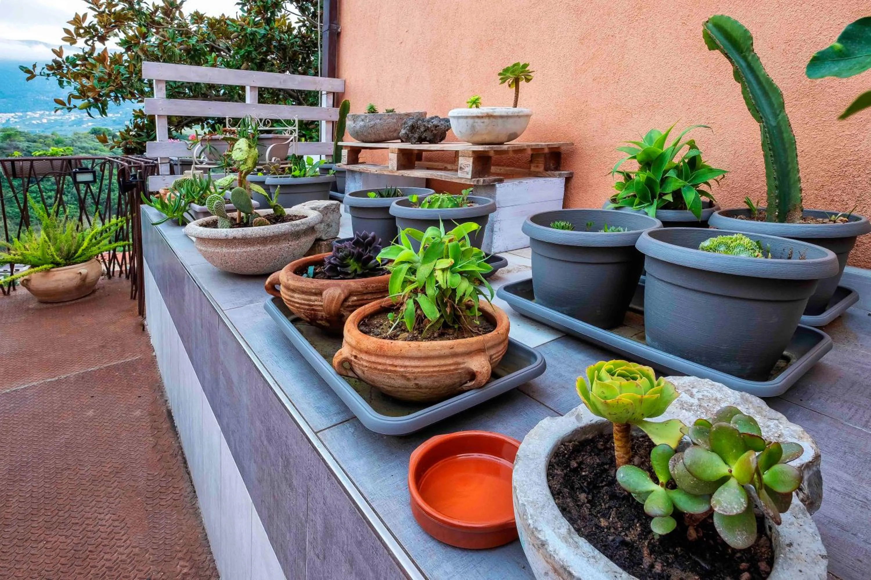 Decorative detail in BnB Casa Rossa