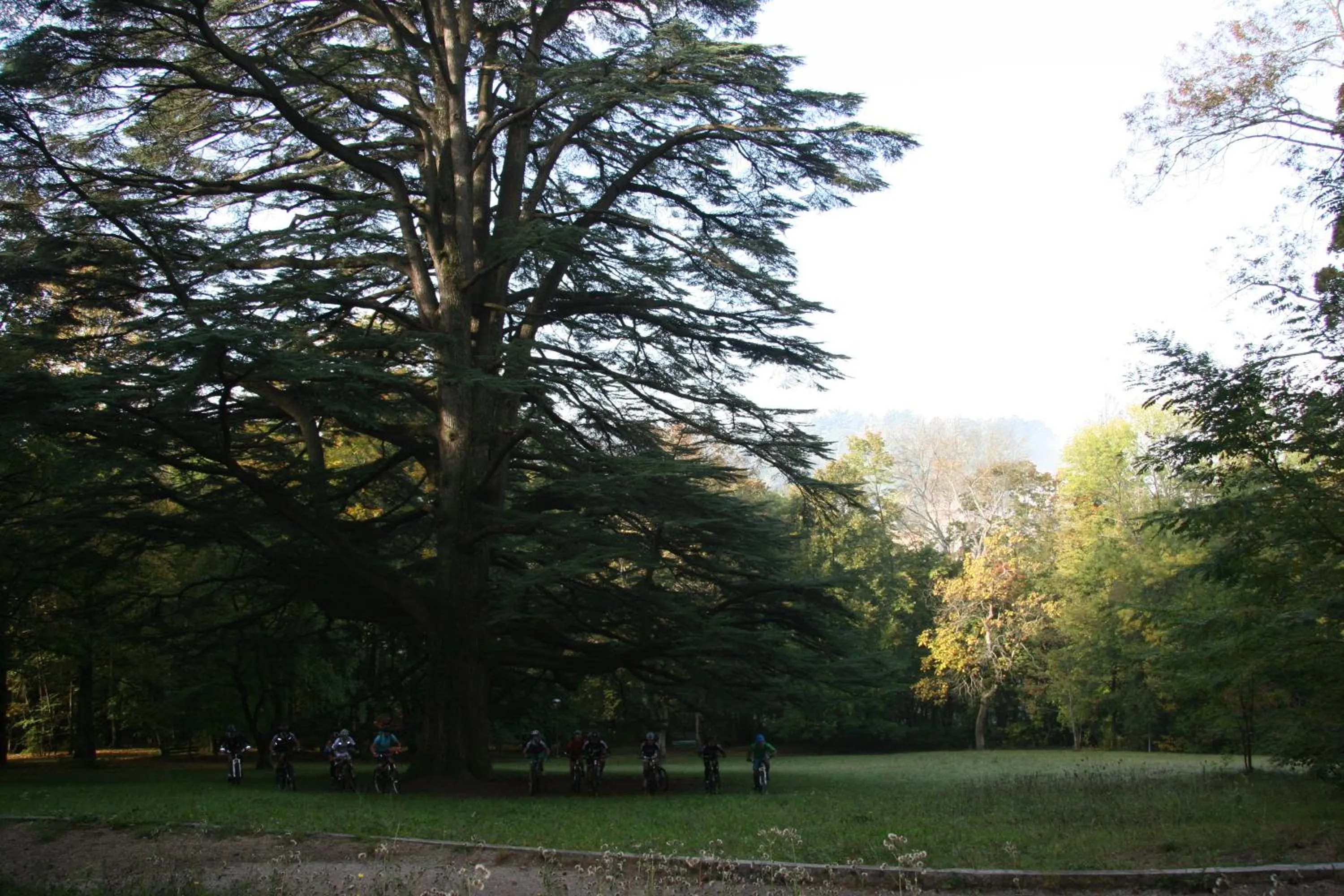 Natural landscape in Hotel Vandelli