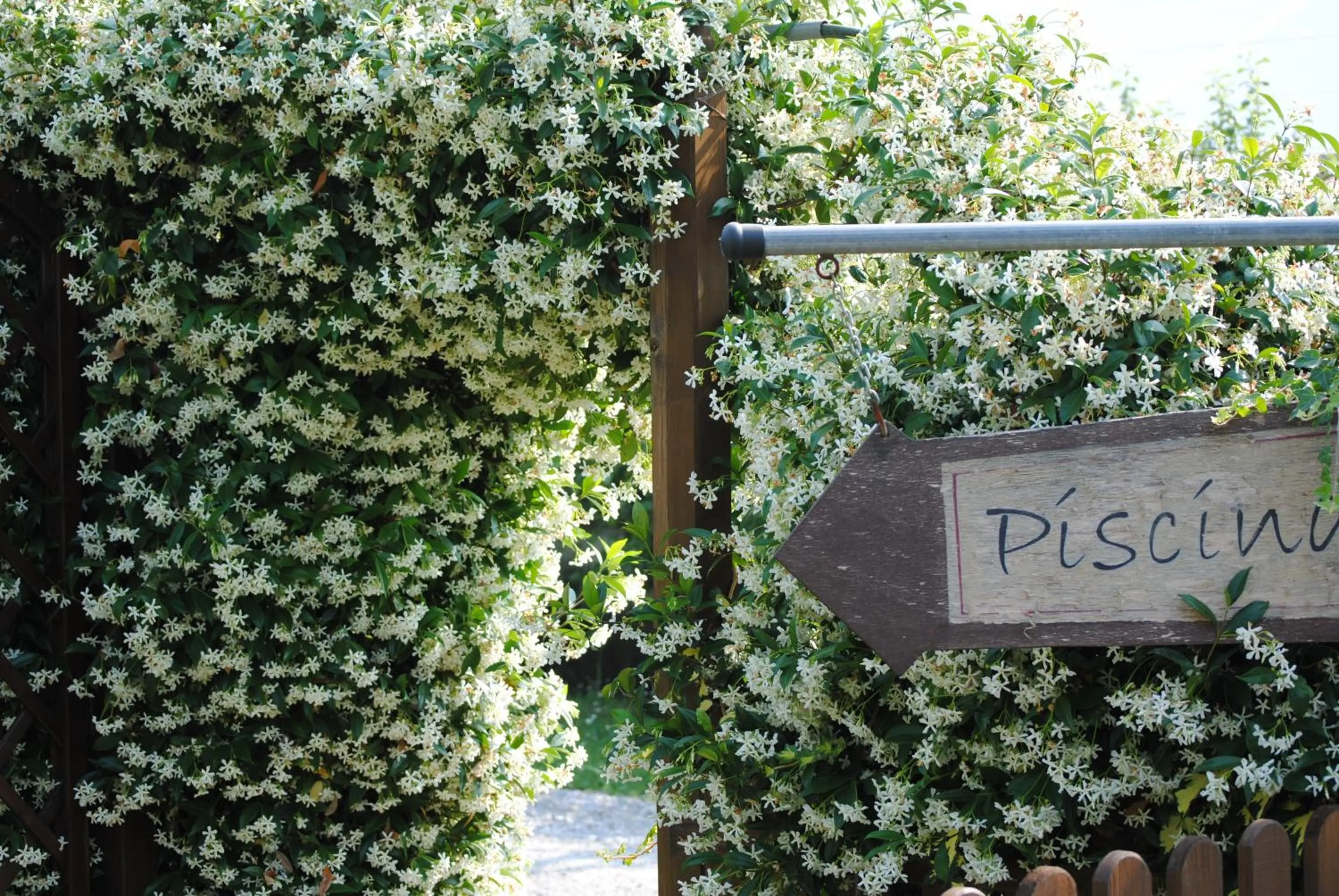 Garden in Fondo Brugarolo B&B