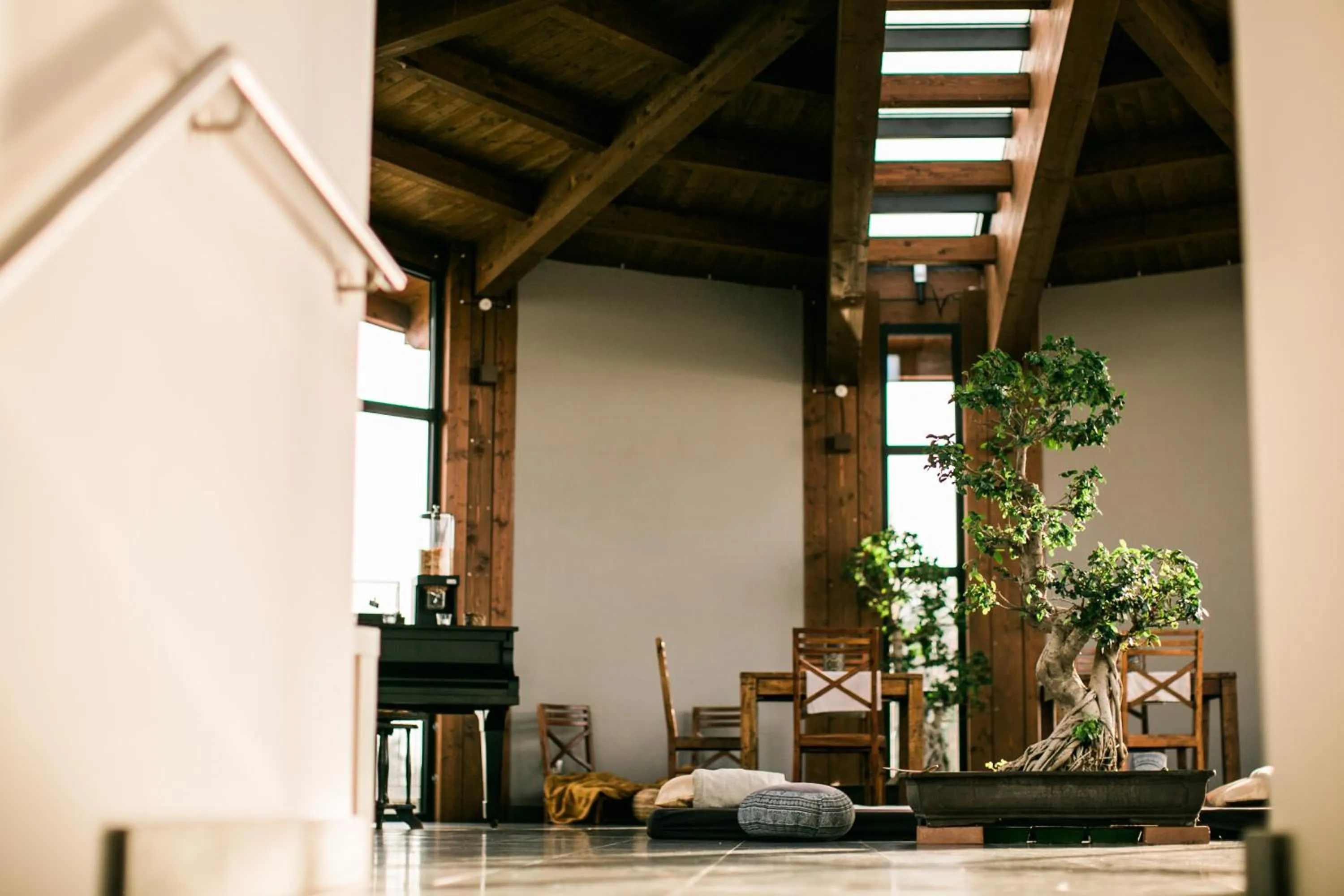 Area and facilities in Fondo Brugarolo B&B